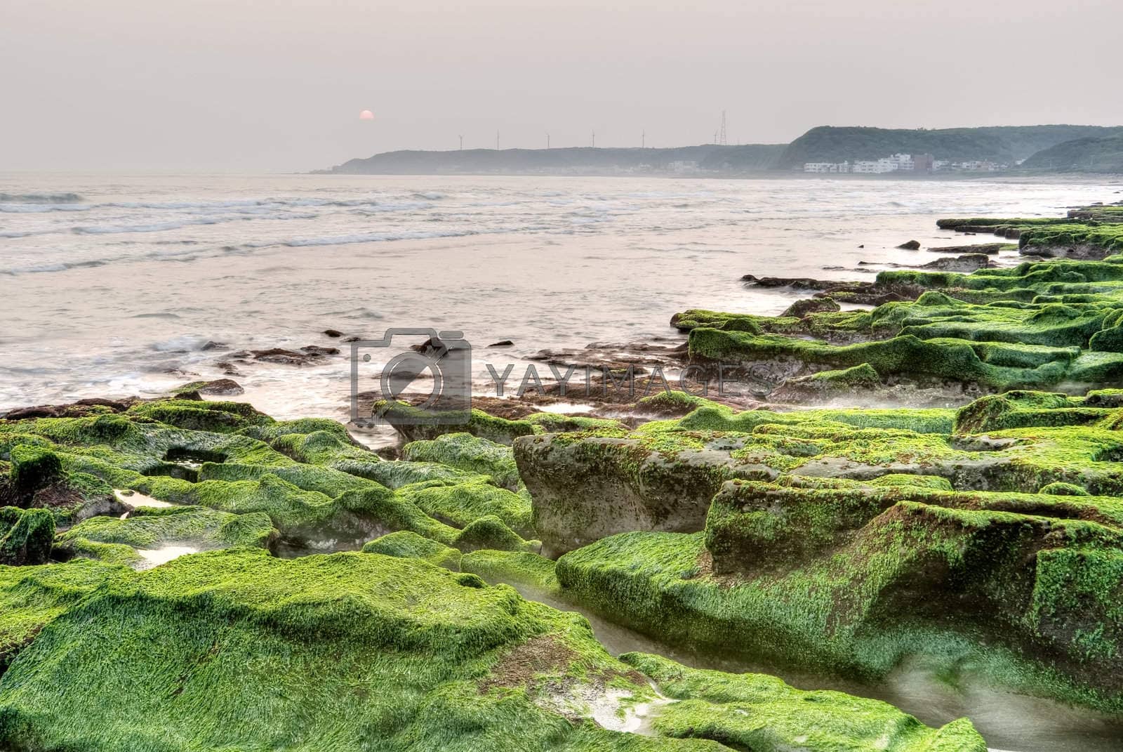 Royalty free image of green coastline by elwynn