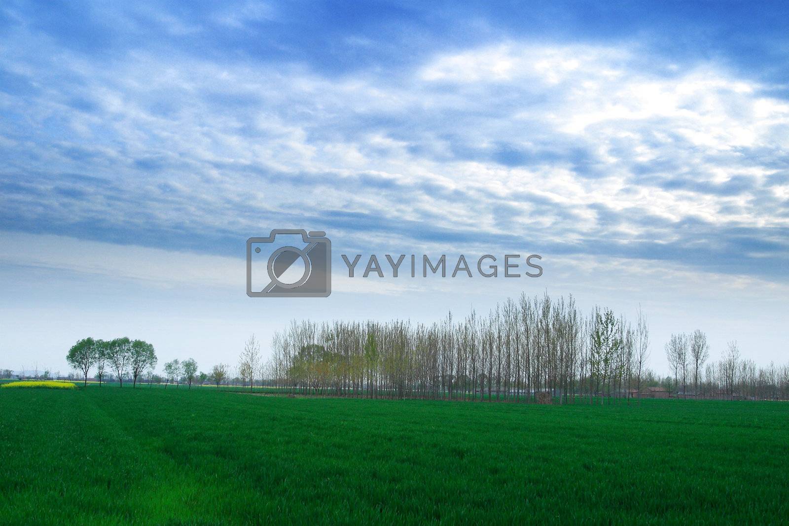 Royalty free image of China Anhui Huaibei,  by xps