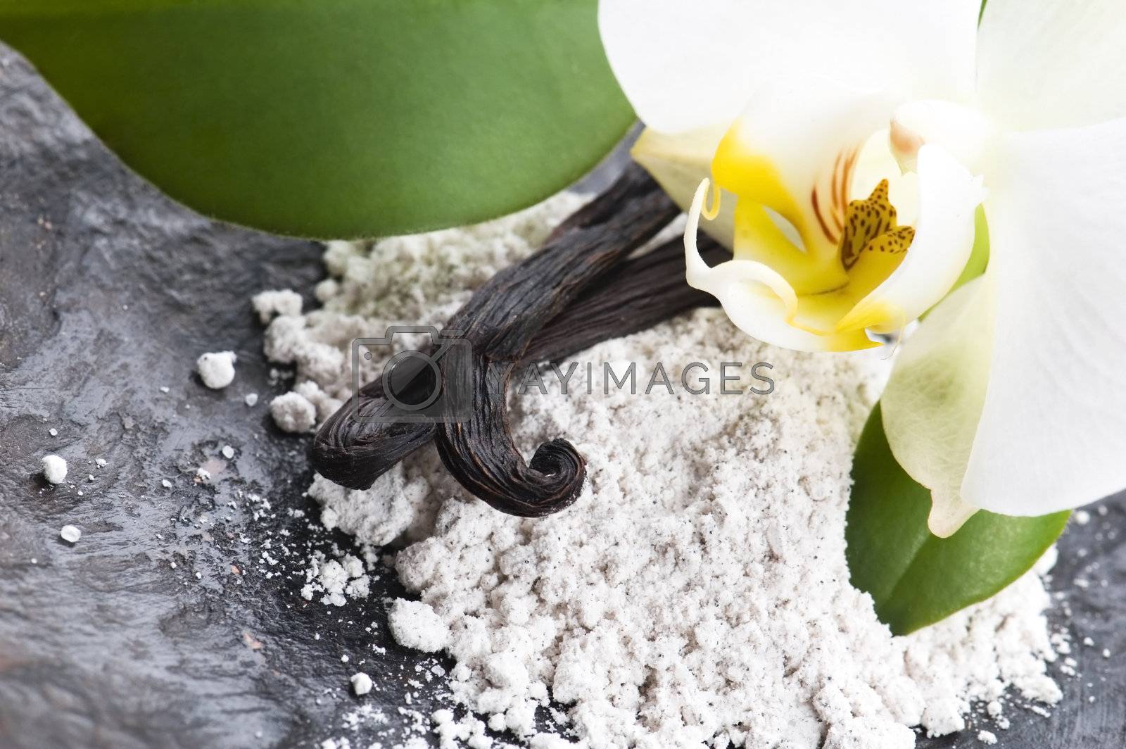 Royalty free image of vanilla beans with aromatic sugar and flower by joannawnuk