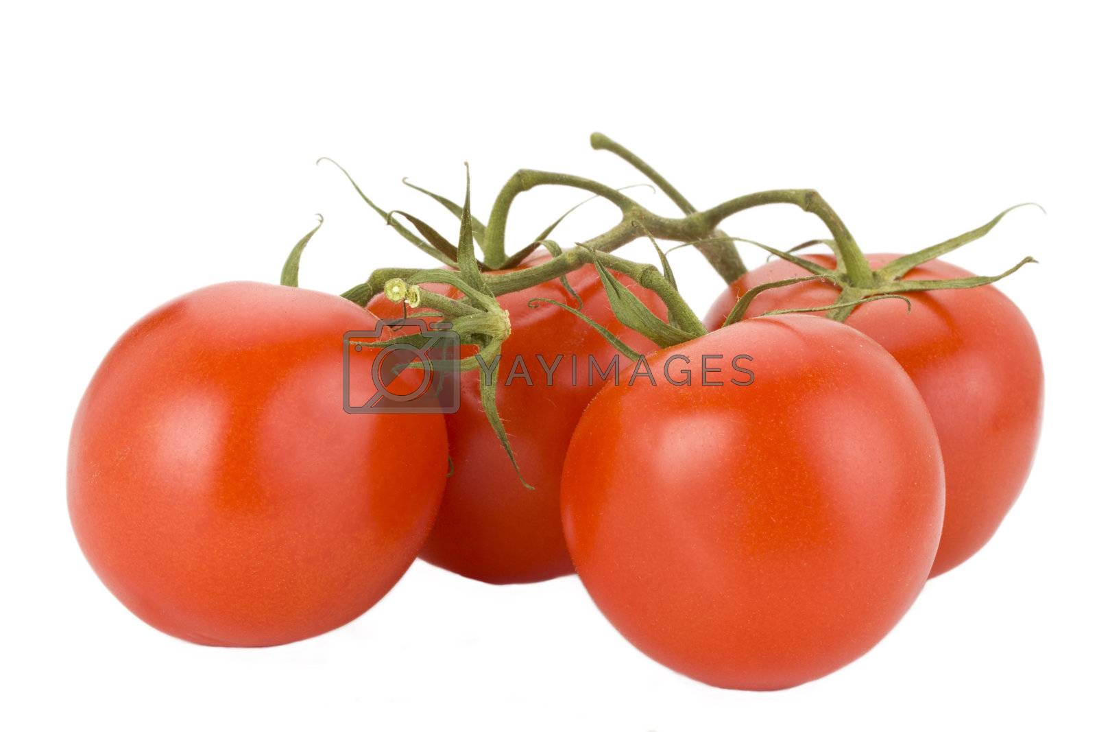 Royalty free image of four tomatoes isolated on white background by bernjuer