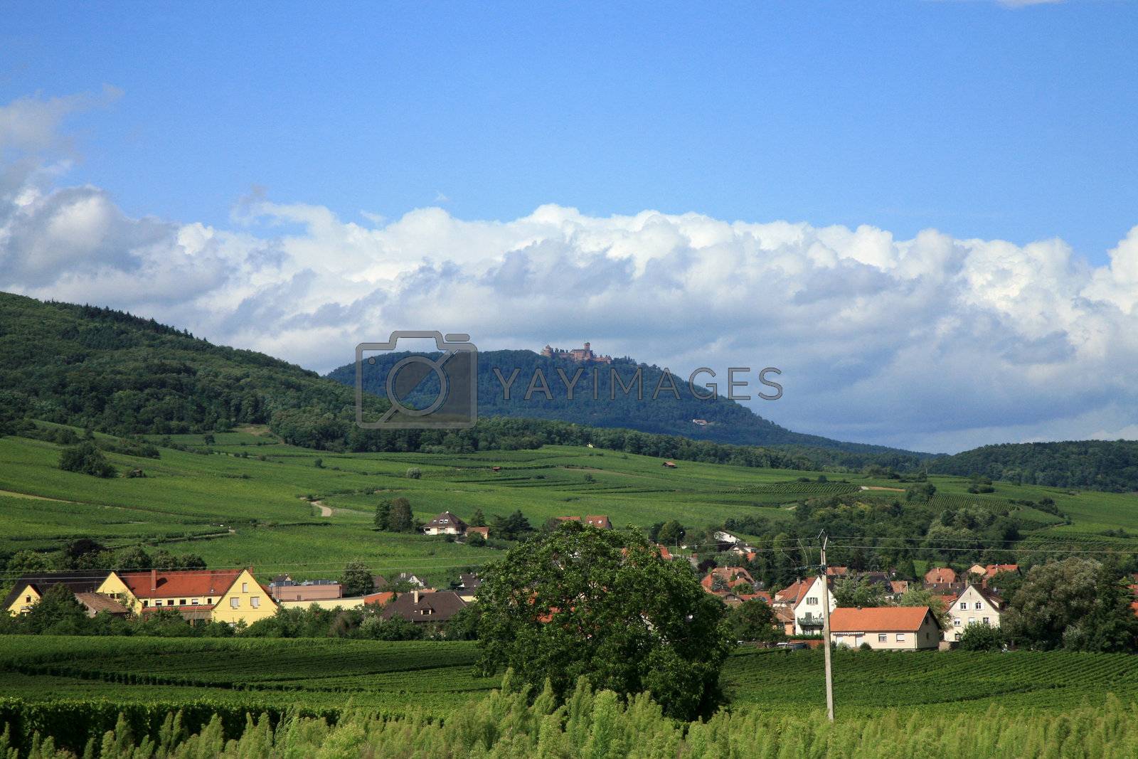 Royalty free image of Route des vines in Alsace - France by fotokate