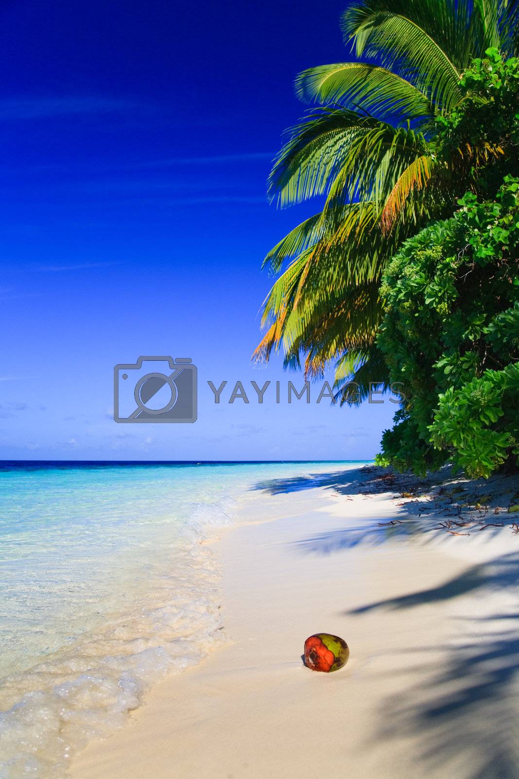 Royalty free image of Tropical Paradise at Maldives by anobis