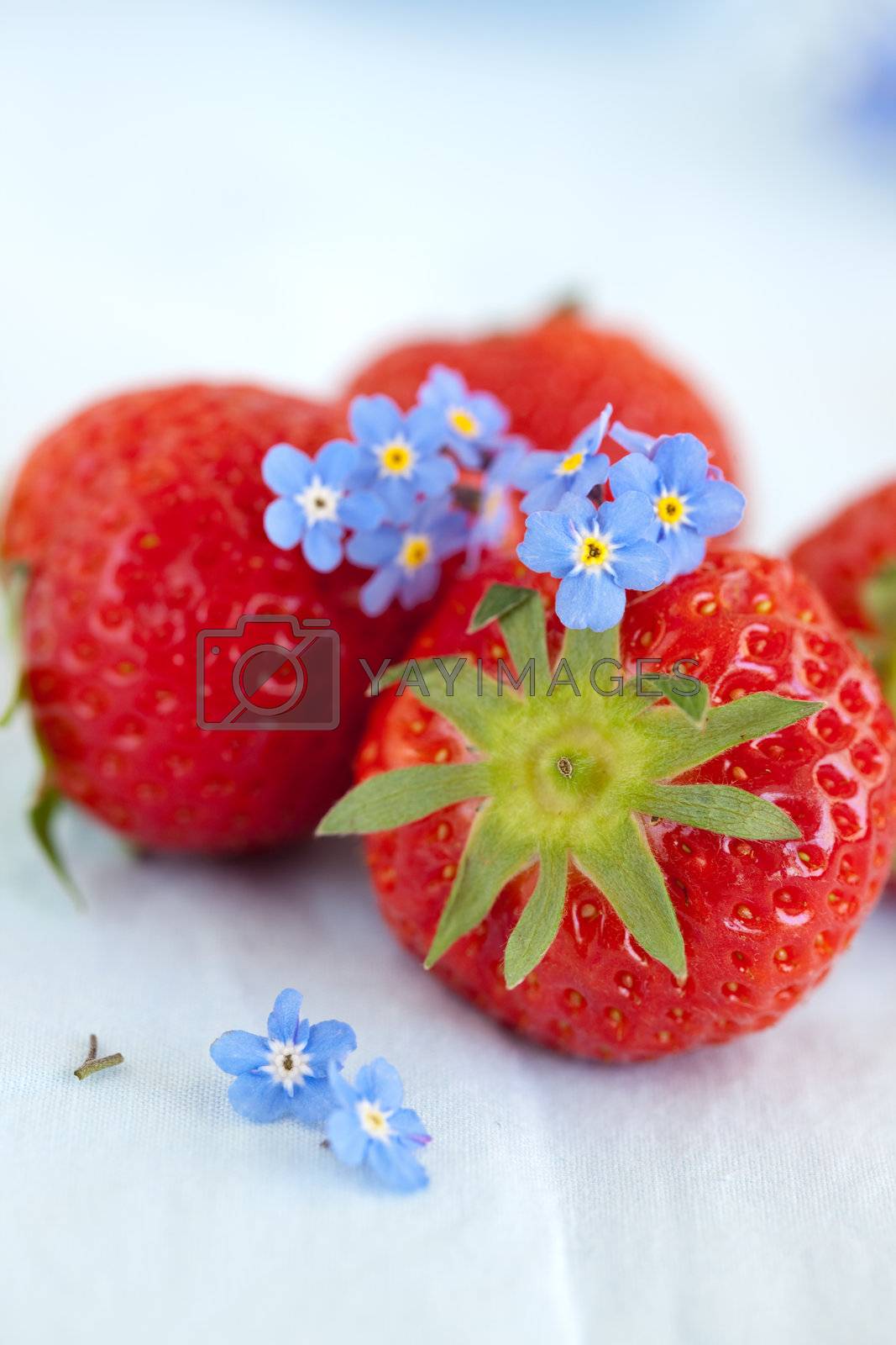 Royalty free image of Strawberries by Fotosmurf