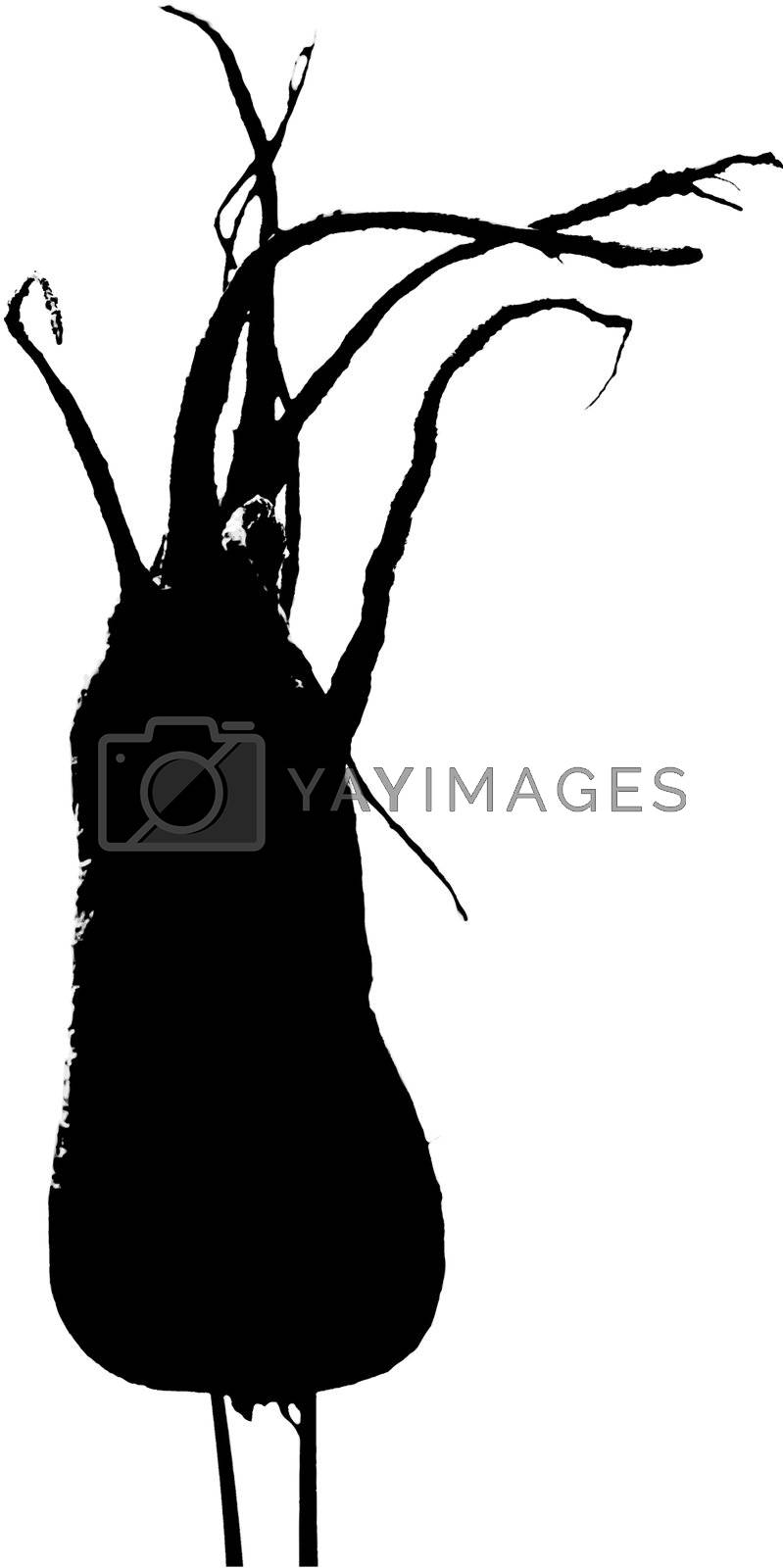 Royalty free image of Vectorized Freaky Parsnip by pdtnc