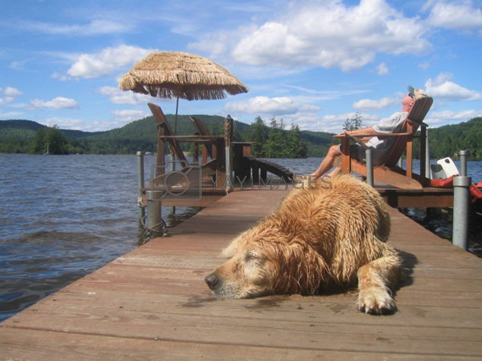 Royalty free image of Lazy summer day with dog and owner sleeping on a dock on a Maine lake. by athomedad