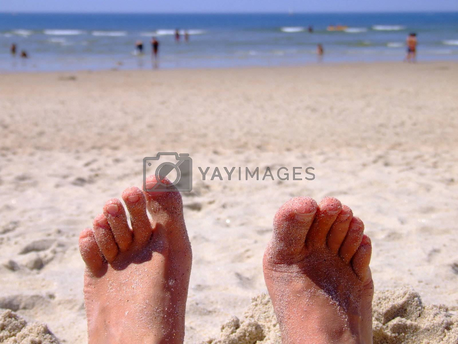 Royalty free image of Sandy feet  by PauloResende