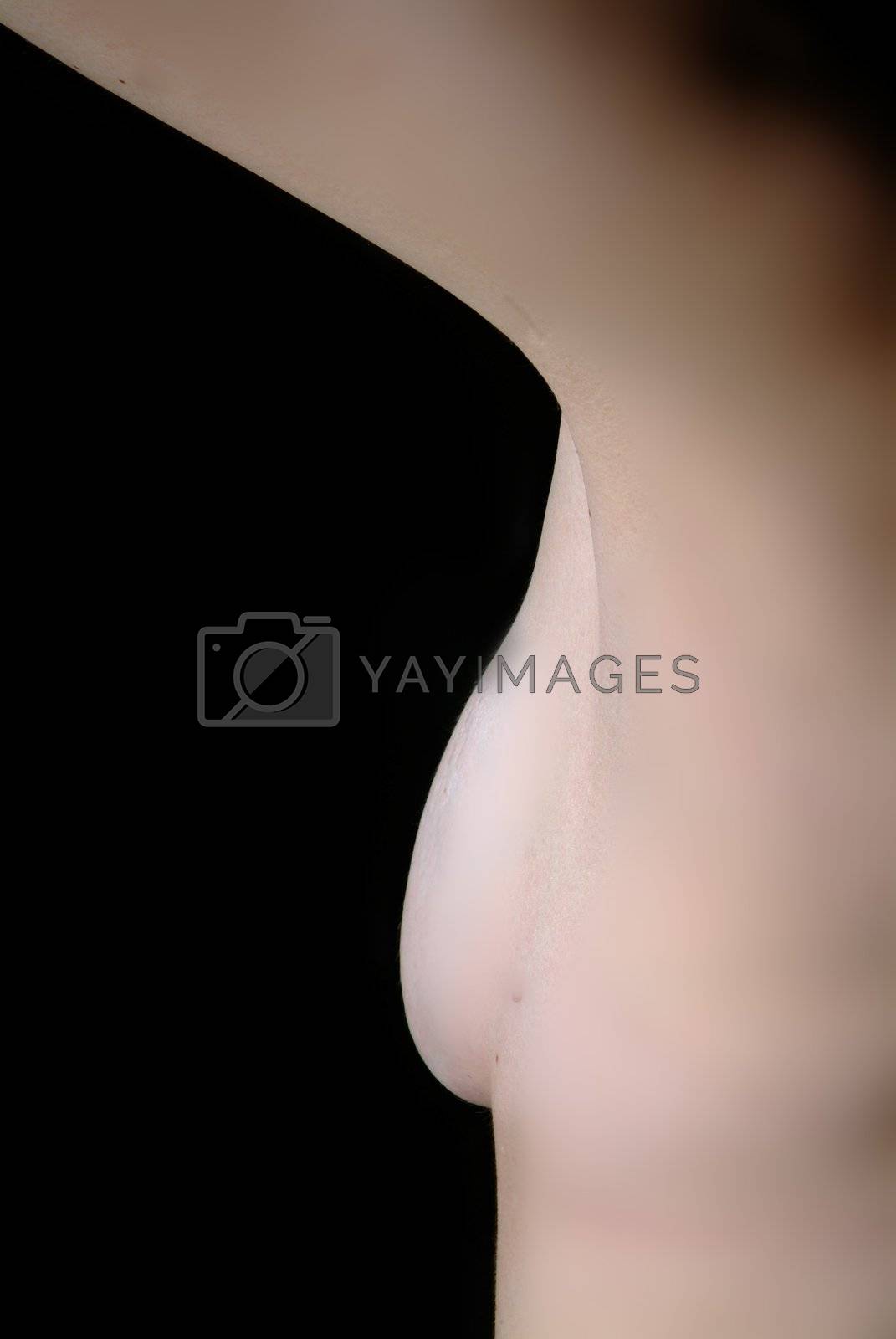 Royalty free image of busen halb | half breast  by fotofritz