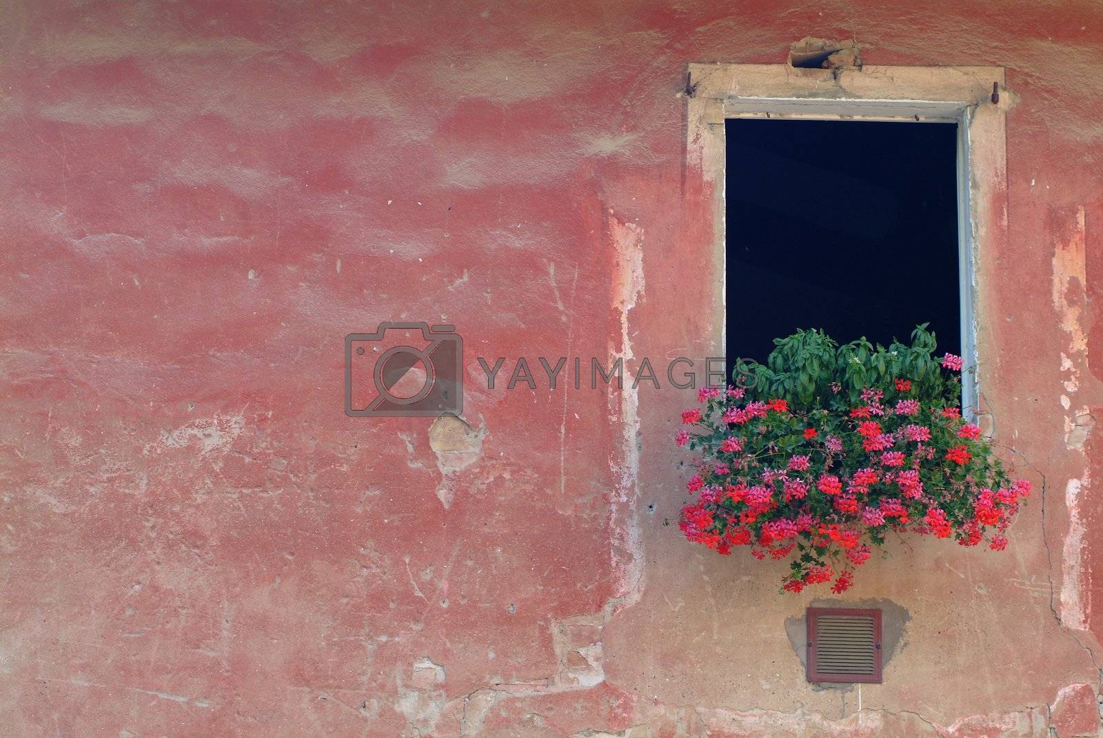 Royalty free image of fenster | window by fotofritz