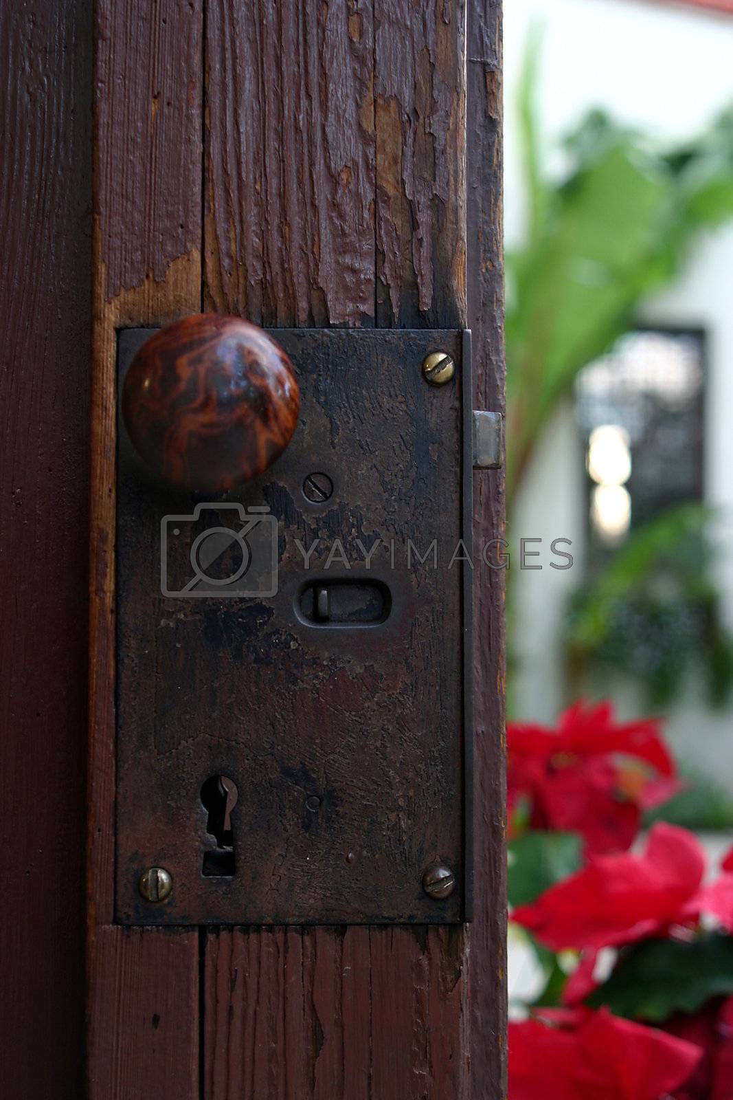 Royalty free image of Door by hlehnerer