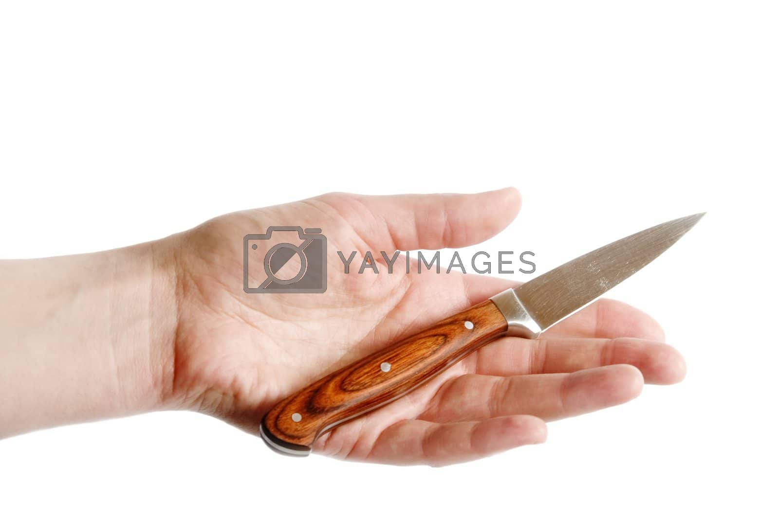 Royalty free image of Pearing Knife in Hand by leaf
