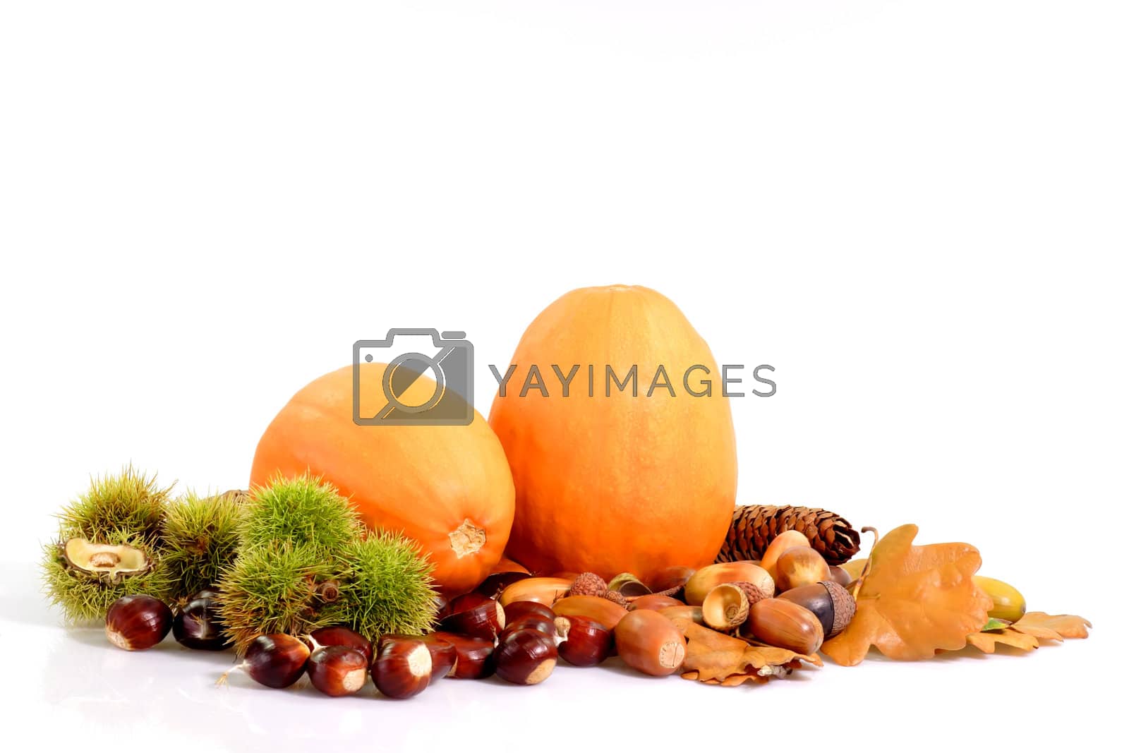 Royalty free image of Harvest Decoration by Teamarbeit
