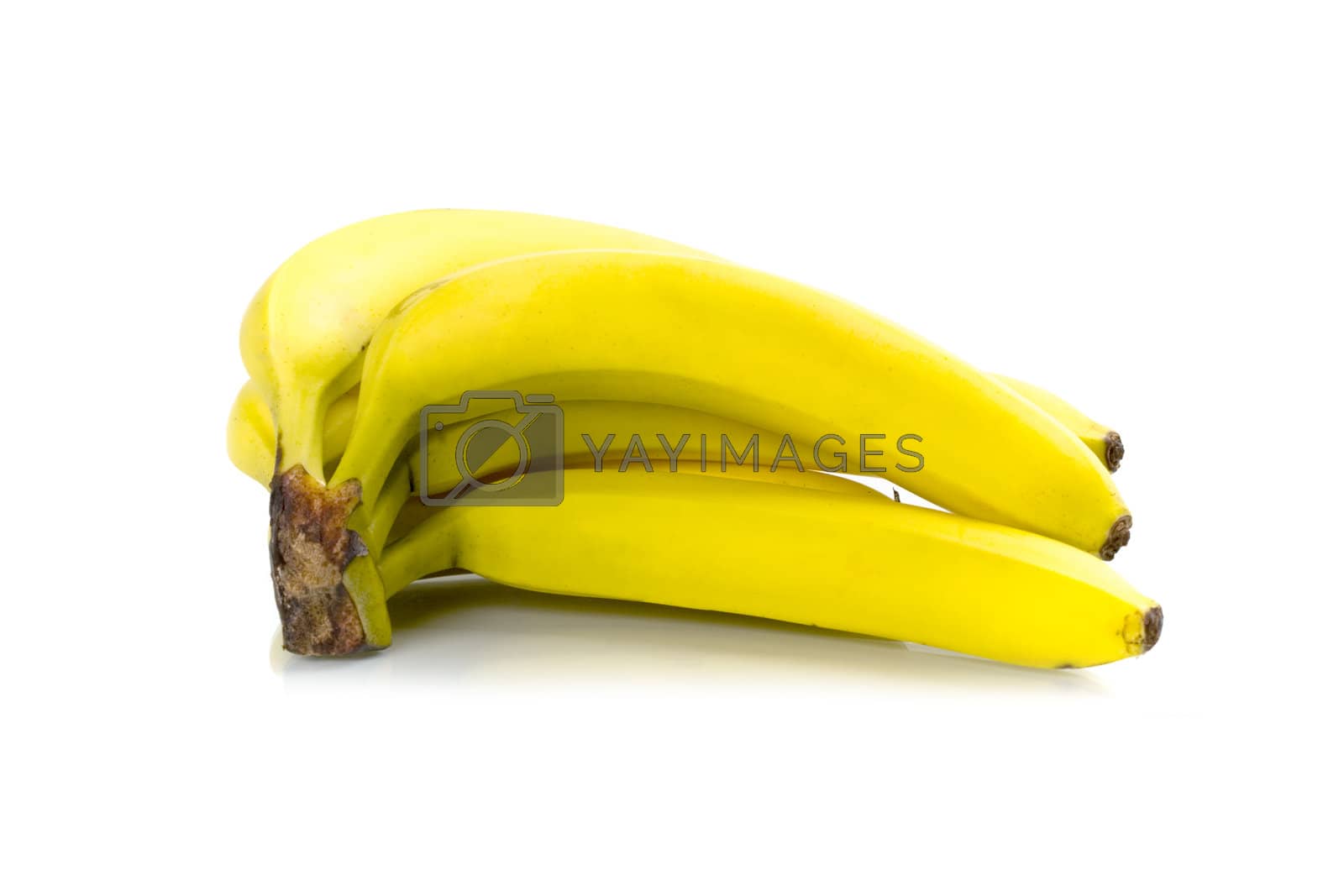 Royalty free image of bananas bunch by marylooo