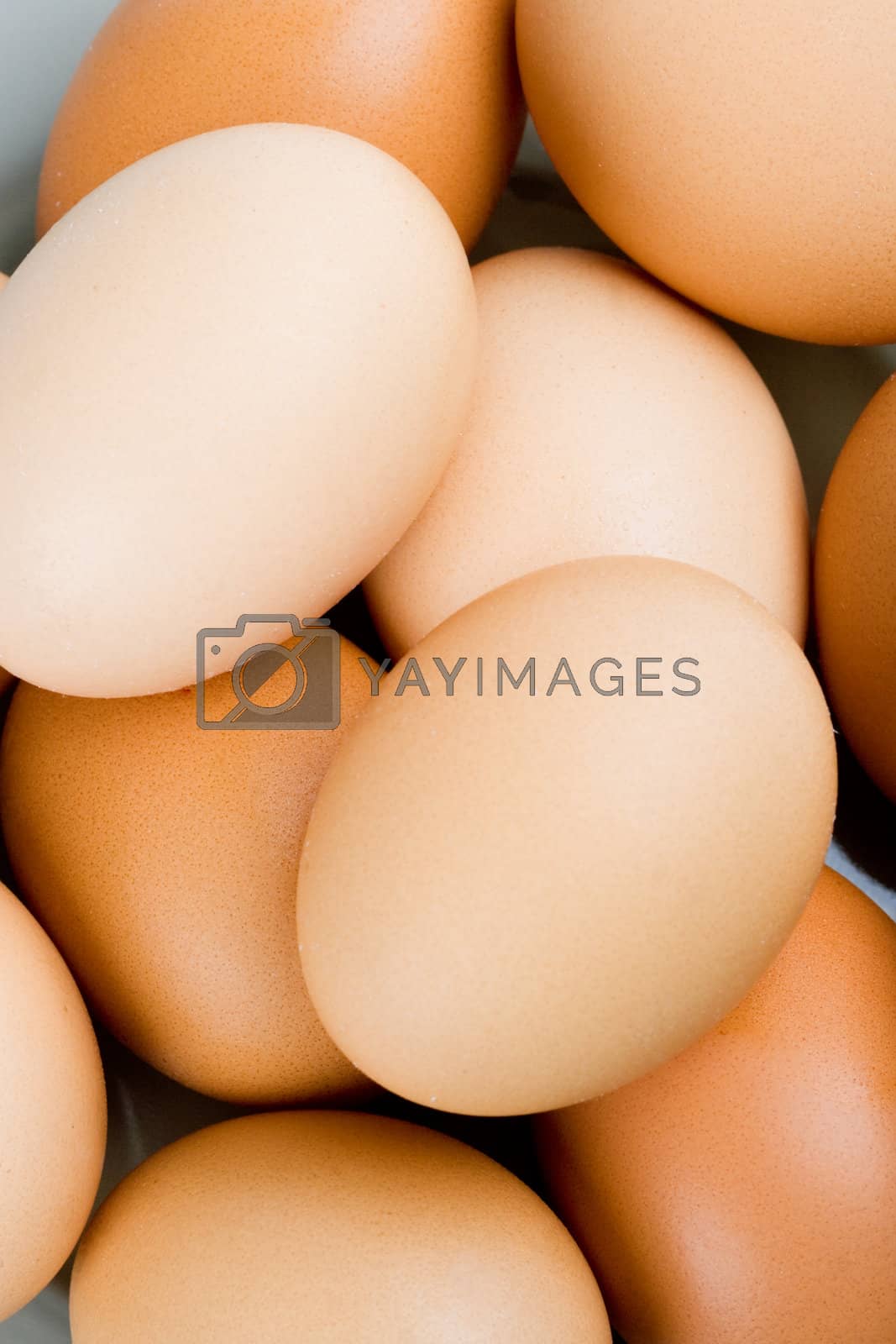 Royalty free image of brown eggs by marylooo