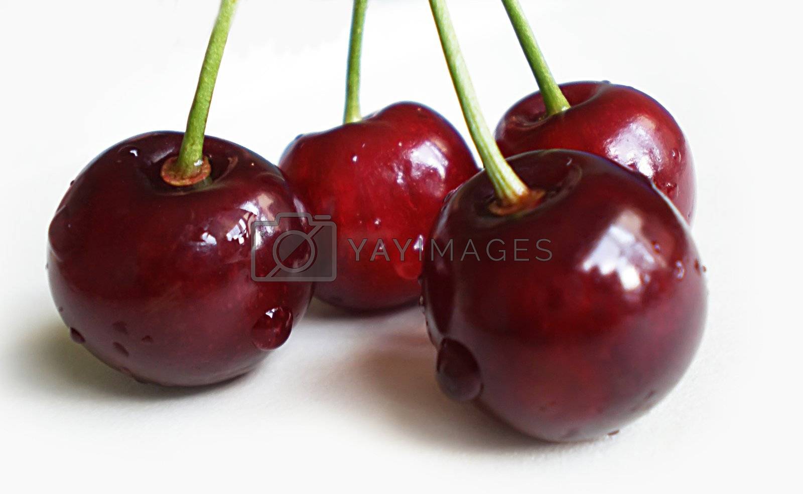 Royalty free image of cherries by Dessie_bg