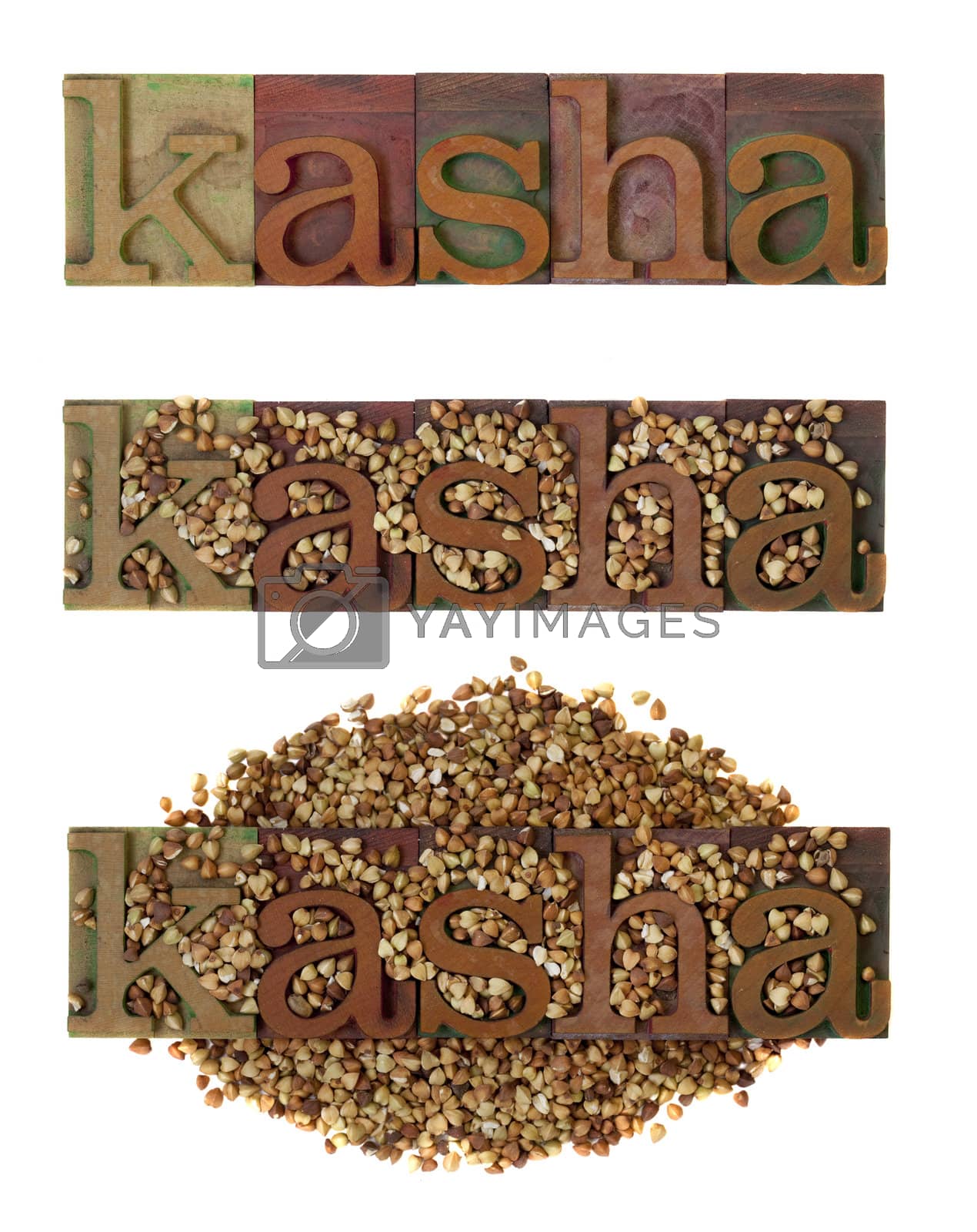 Royalty free image of kasha - roasted buckwheat by PixelsAway