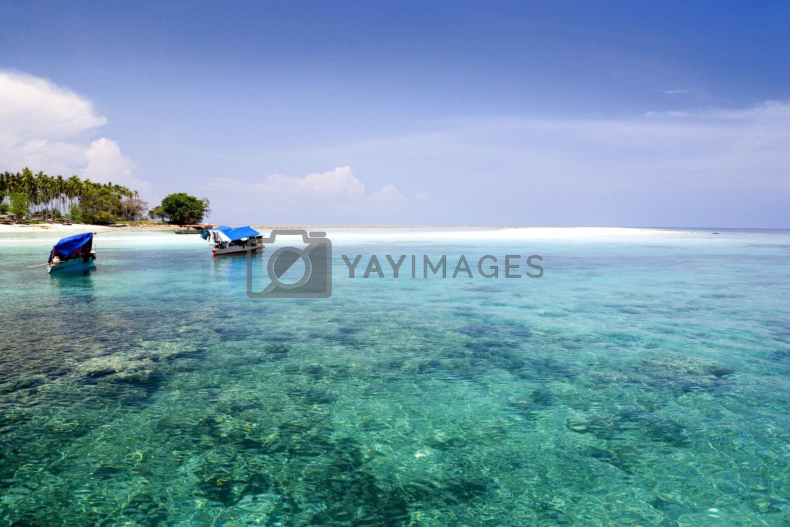 Royalty free image of Tropical Island Paradise by shariffc