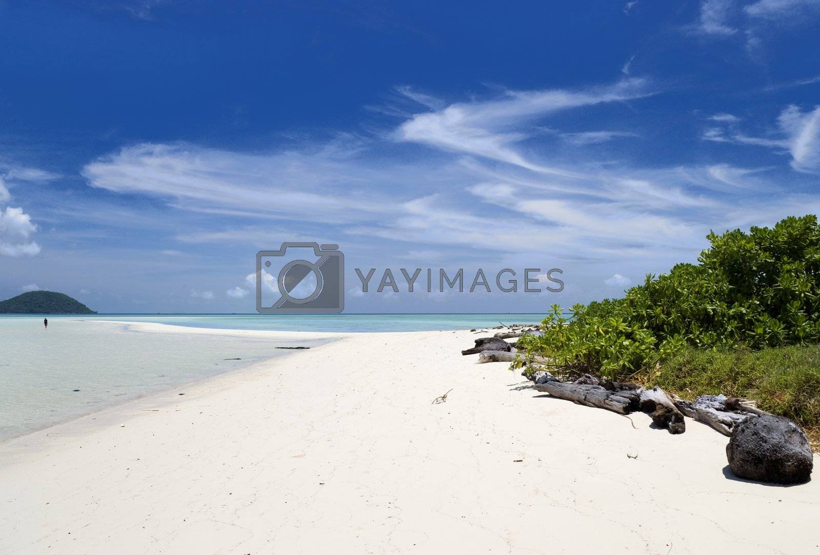 Royalty free image of Tropical Island Paradise by shariffc