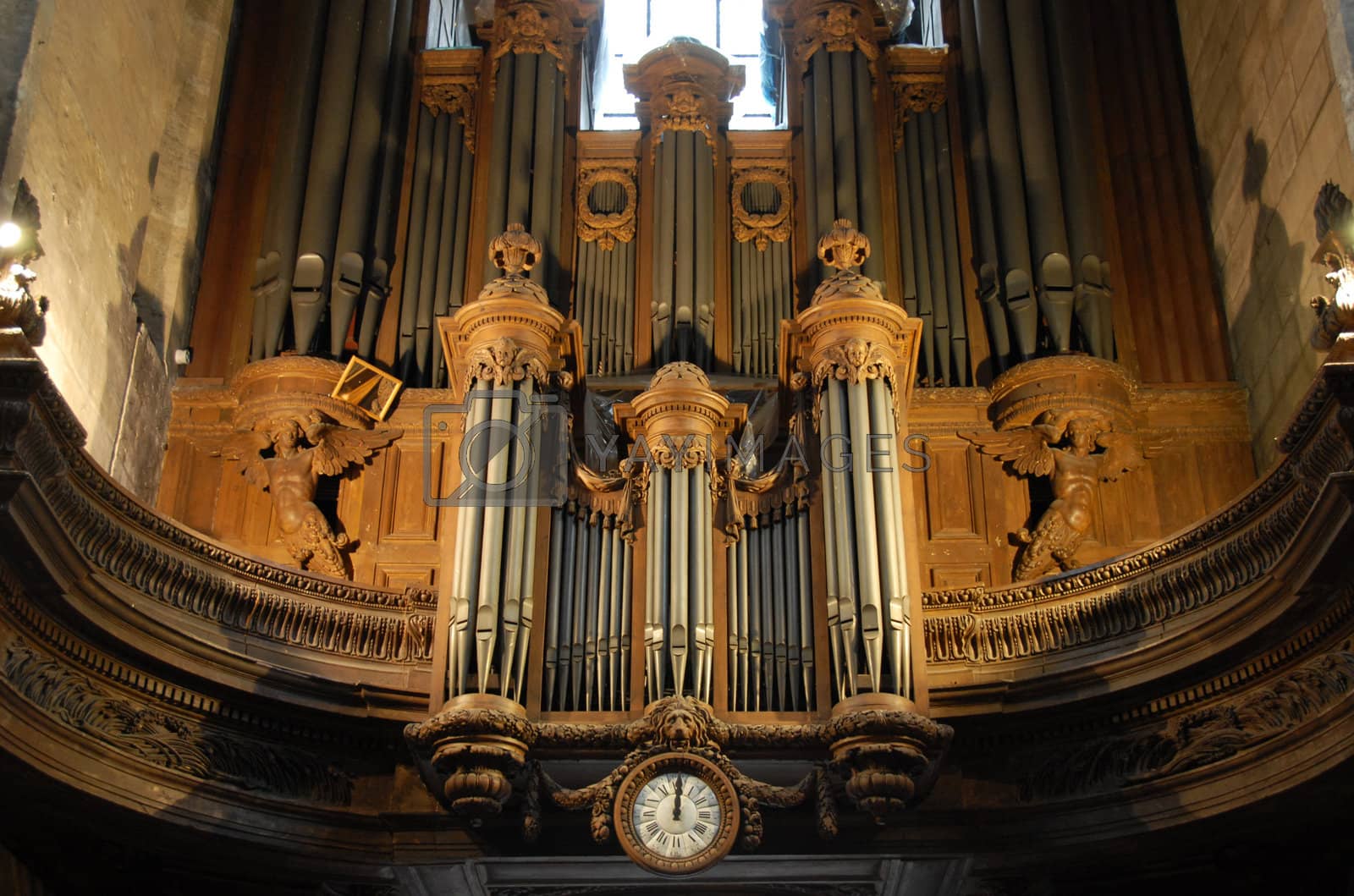 Royalty free image of pipe organ by cynoclub