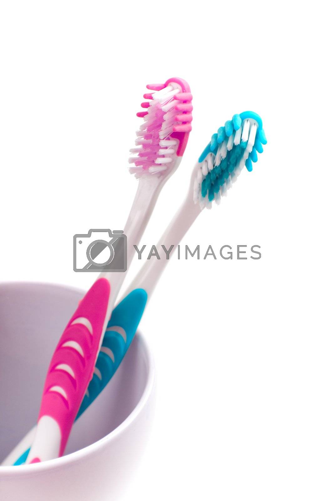 Royalty free image of two toothbrushes by marylooo