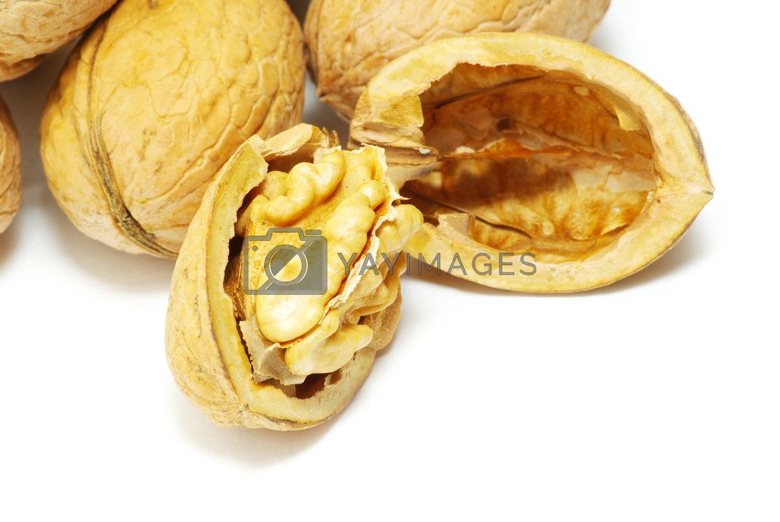 Royalty free image of  walnuts by Pakhnyushchyy