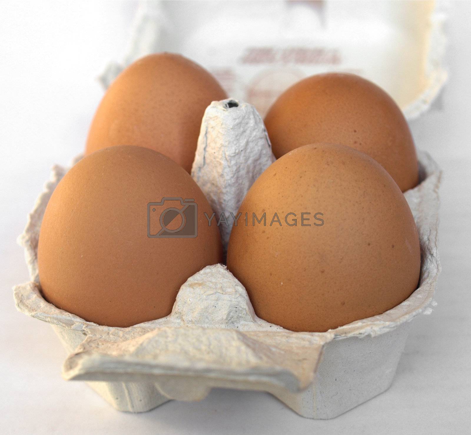 Royalty free image of Eggs by claudiodivizia