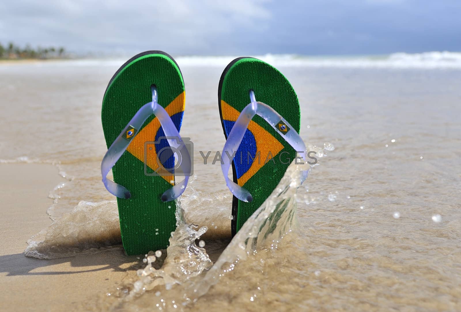 Royalty free image of Brazilian Flipflop by swimnews