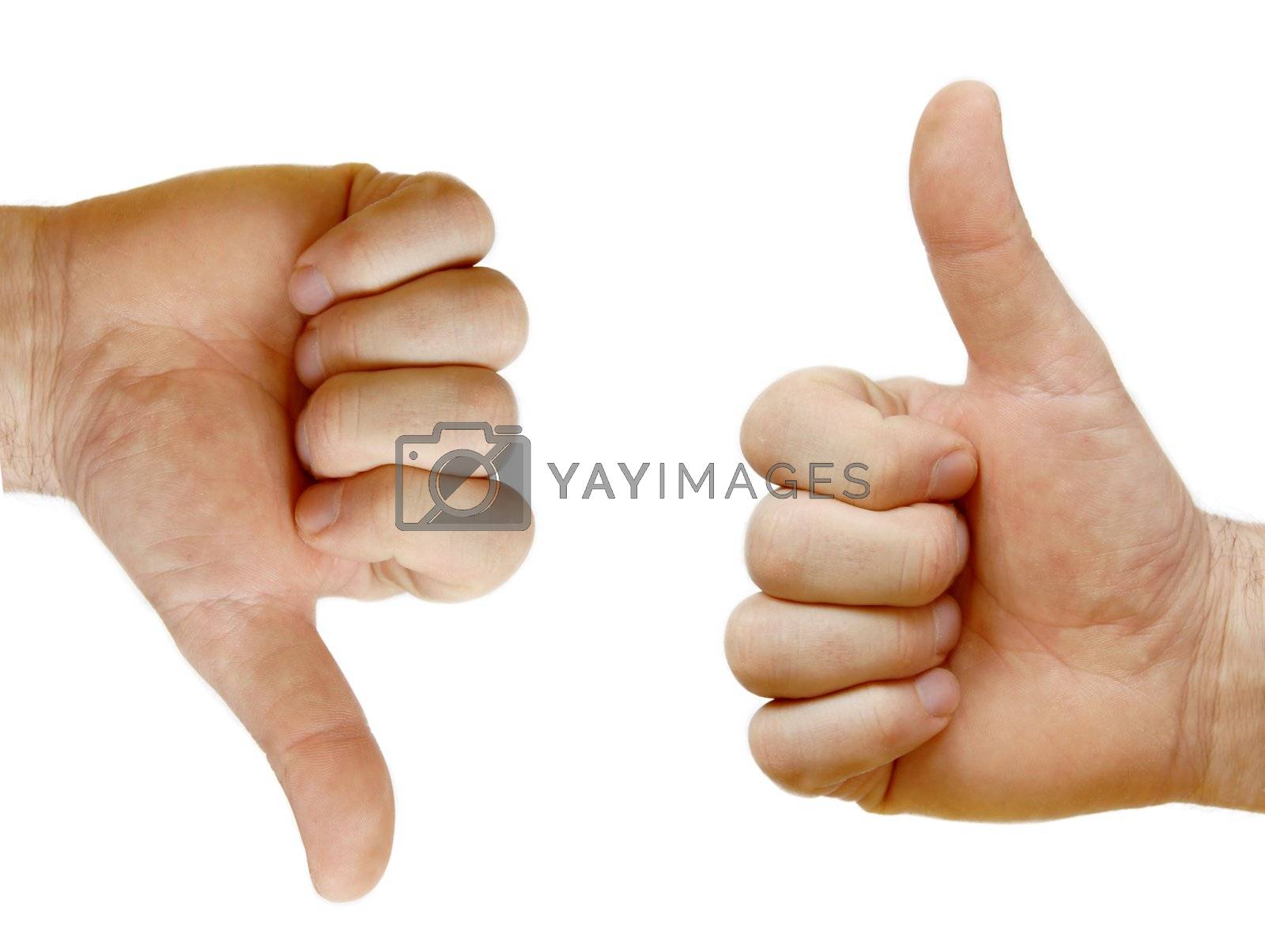 Royalty free image of Two hands showing each other by simply