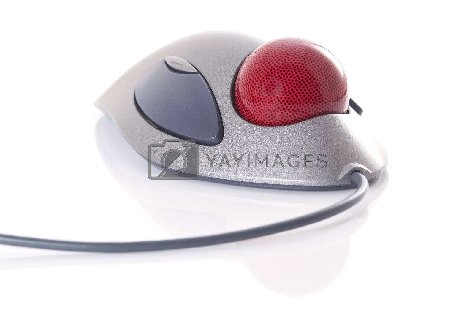 Royalty free image of Trackball on white background by epixx