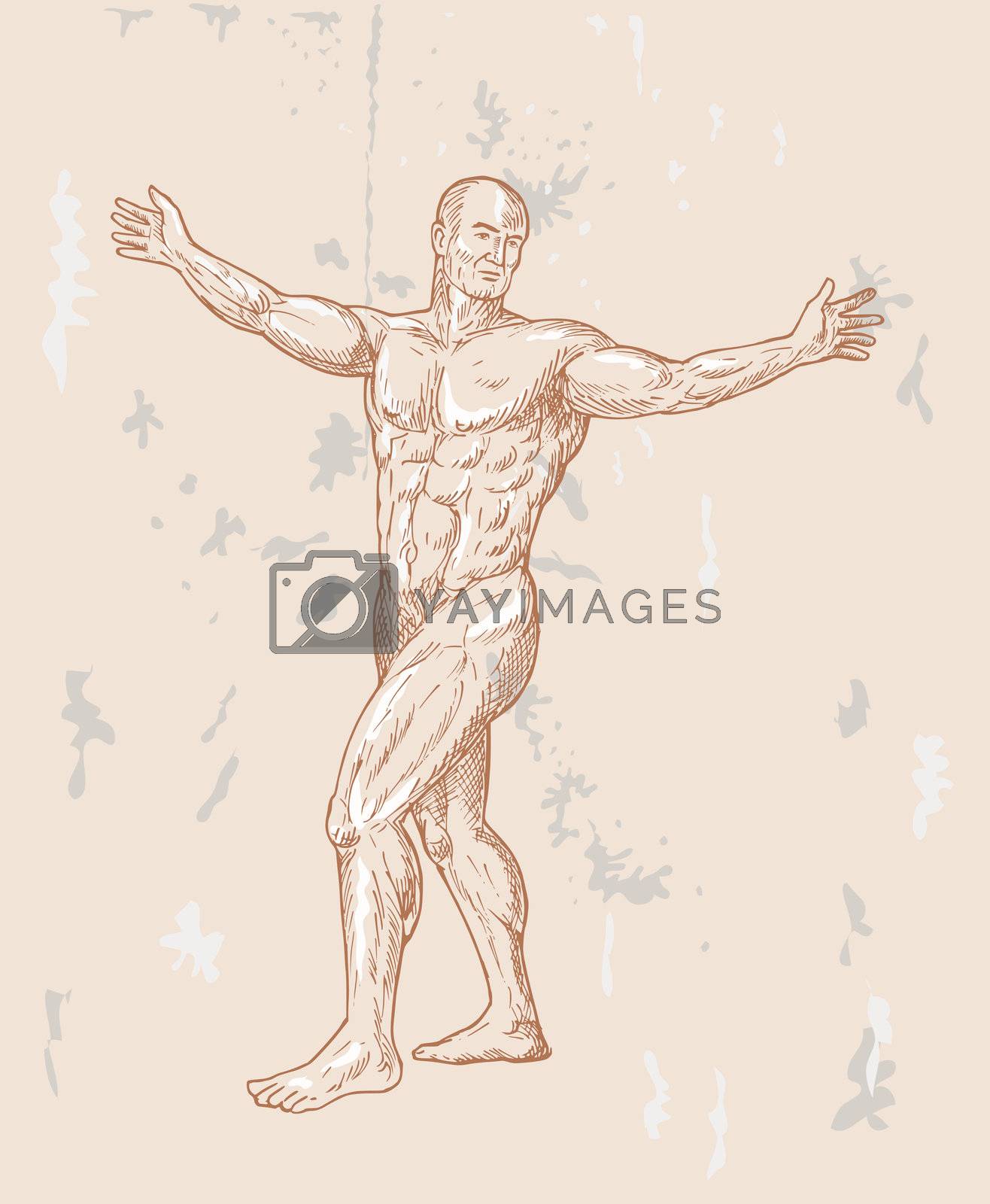 Royalty free image of  male human anatomy  by patrimonio