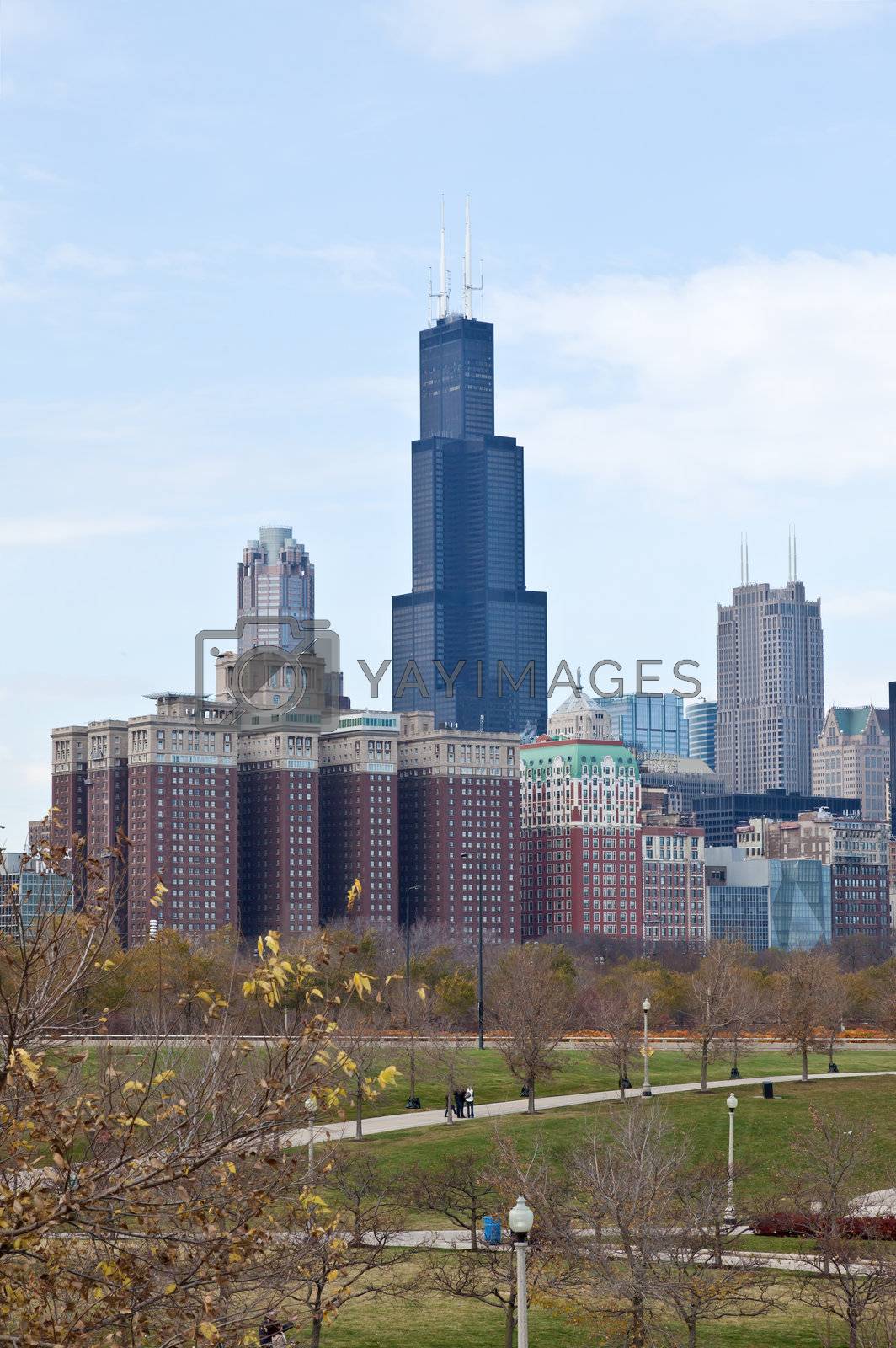 Royalty free image of The Chicago Skyline by gary718