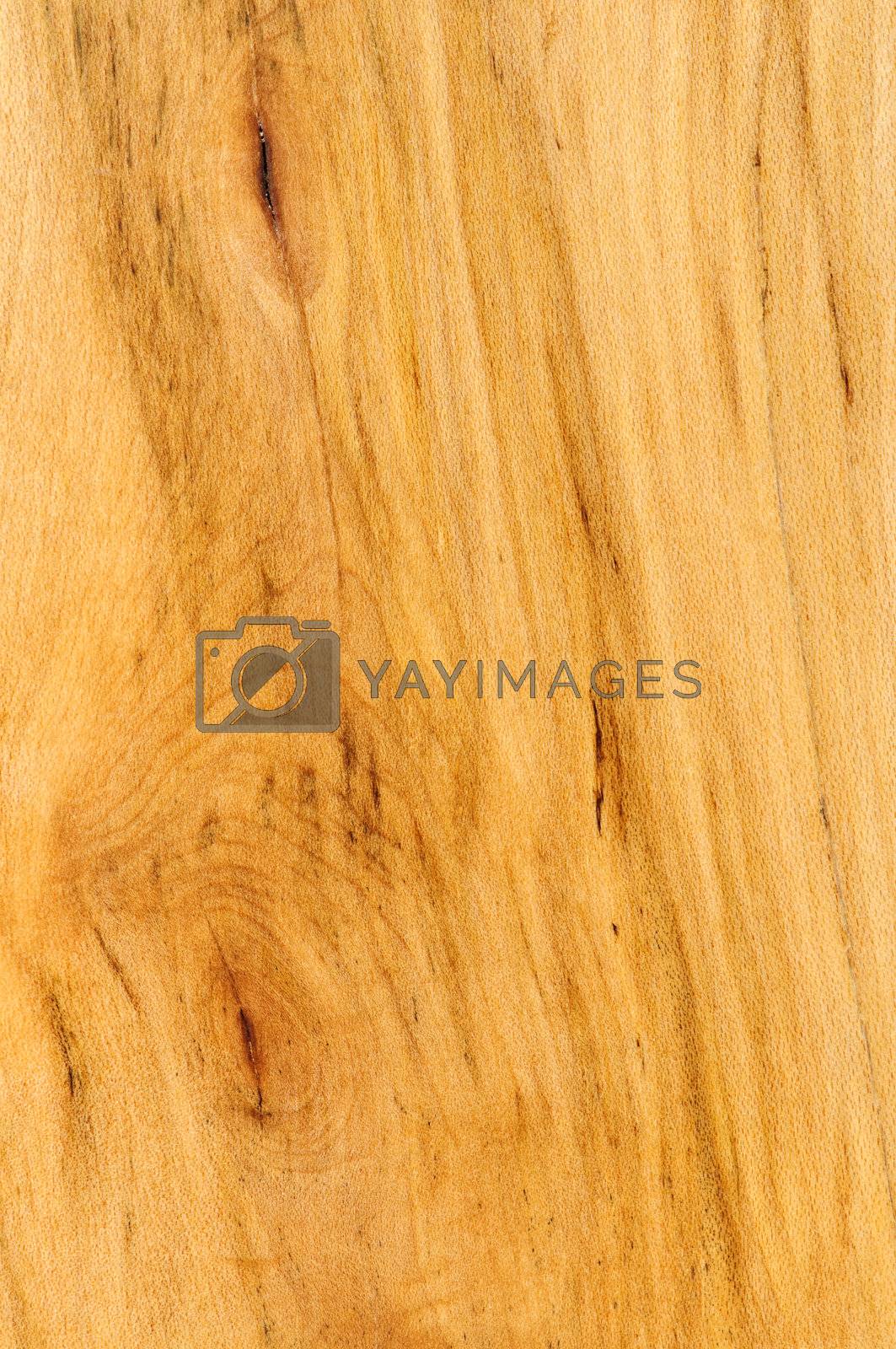 Royalty free image of Pre-finished hardwood floor sample by elenathewise