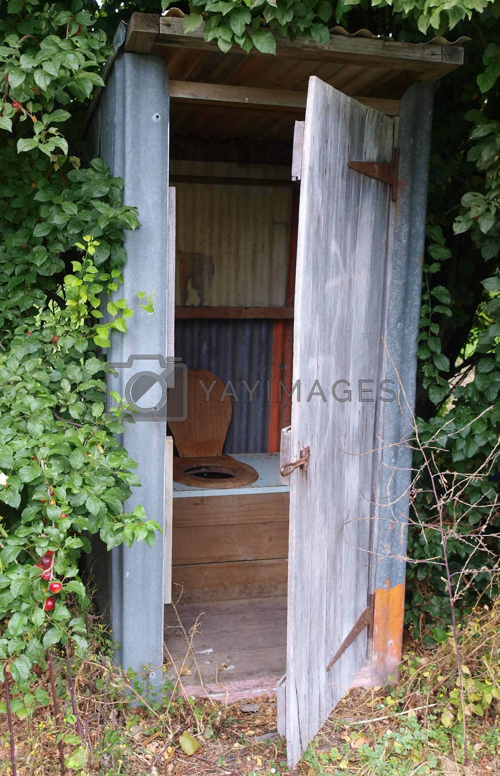 Royalty free image of Old Outhouse by MargoJH