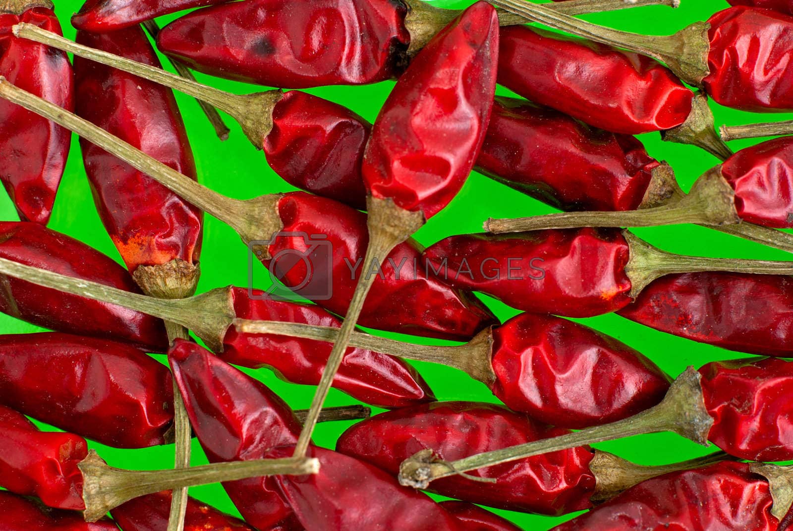 Royalty free image of Red chilli peppers by homydesign