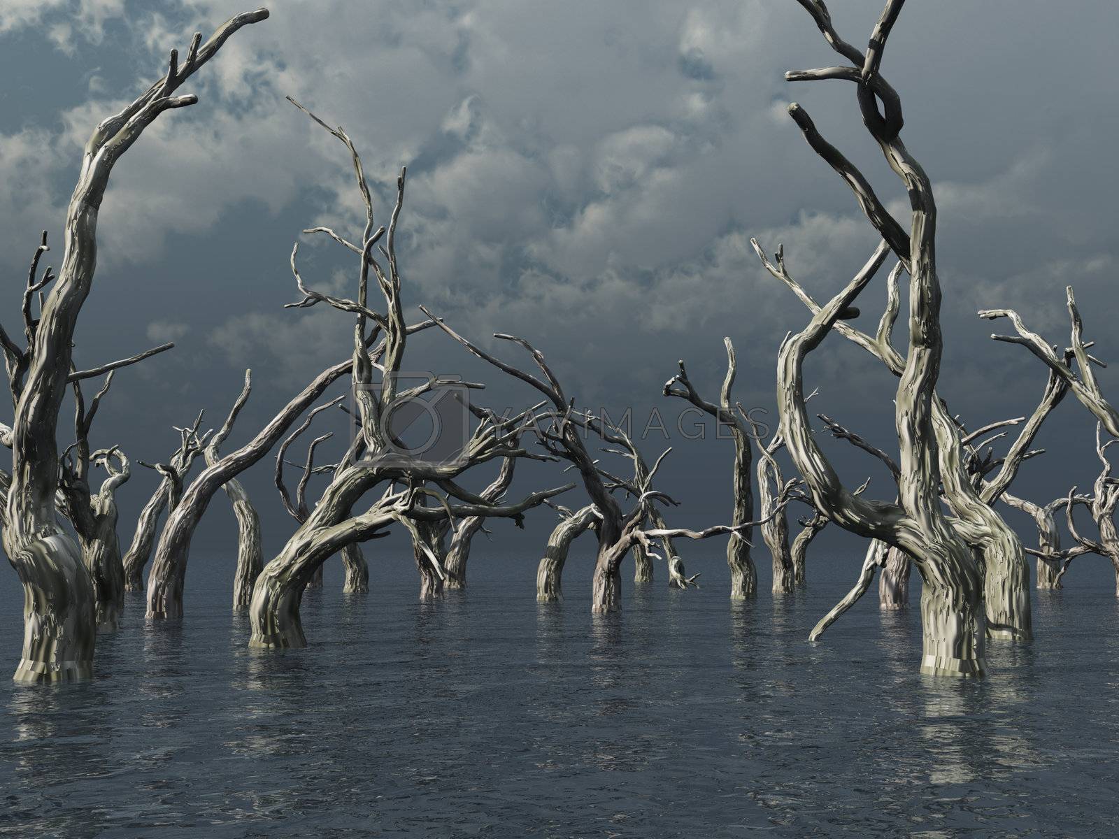 Royalty free image of dead trees by drizzd