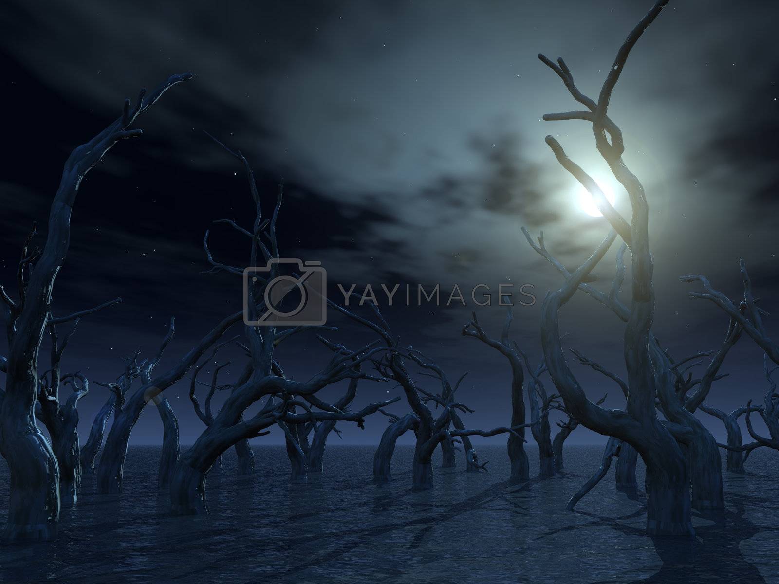 Royalty free image of dead trees by drizzd