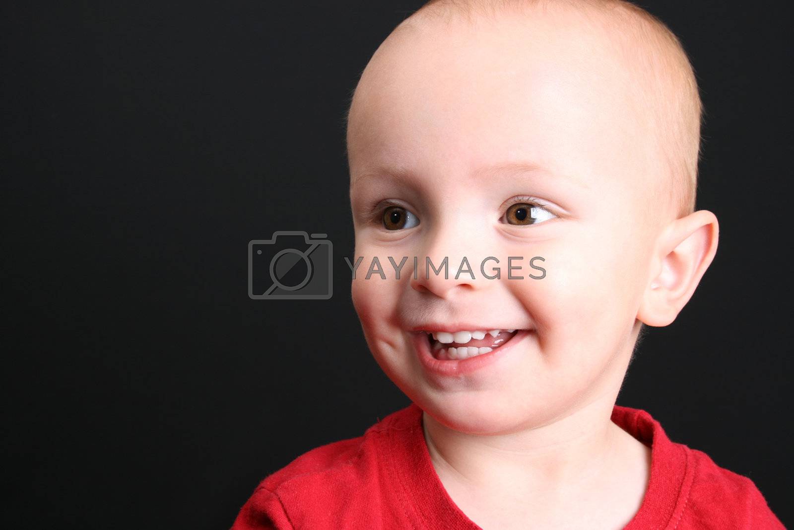 Royalty free image of Toddler by vanell