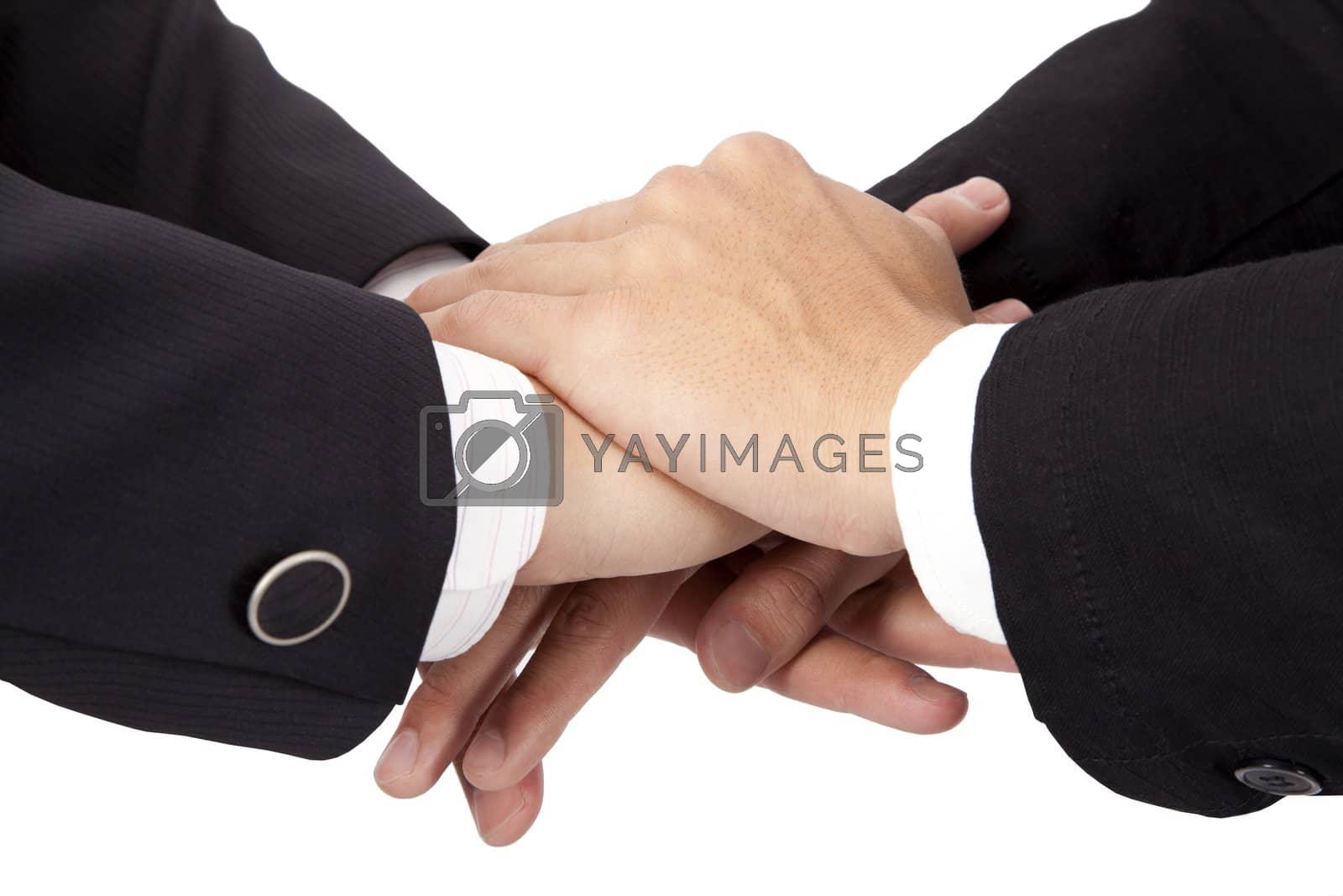 Royalty free image of Trust and cooperation concept. stacked hands of businessman by tomwang