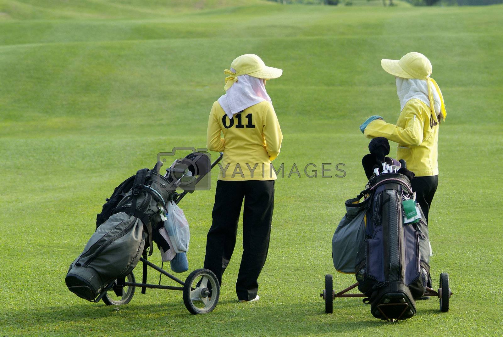 Royalty free image of Two caddies at a golf course by epixx