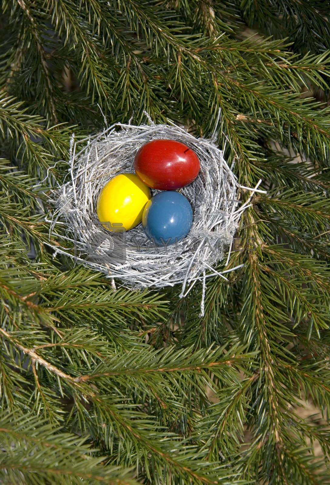 Royalty free image of Silver Easter bird's nest with painted eggs. by sauletas