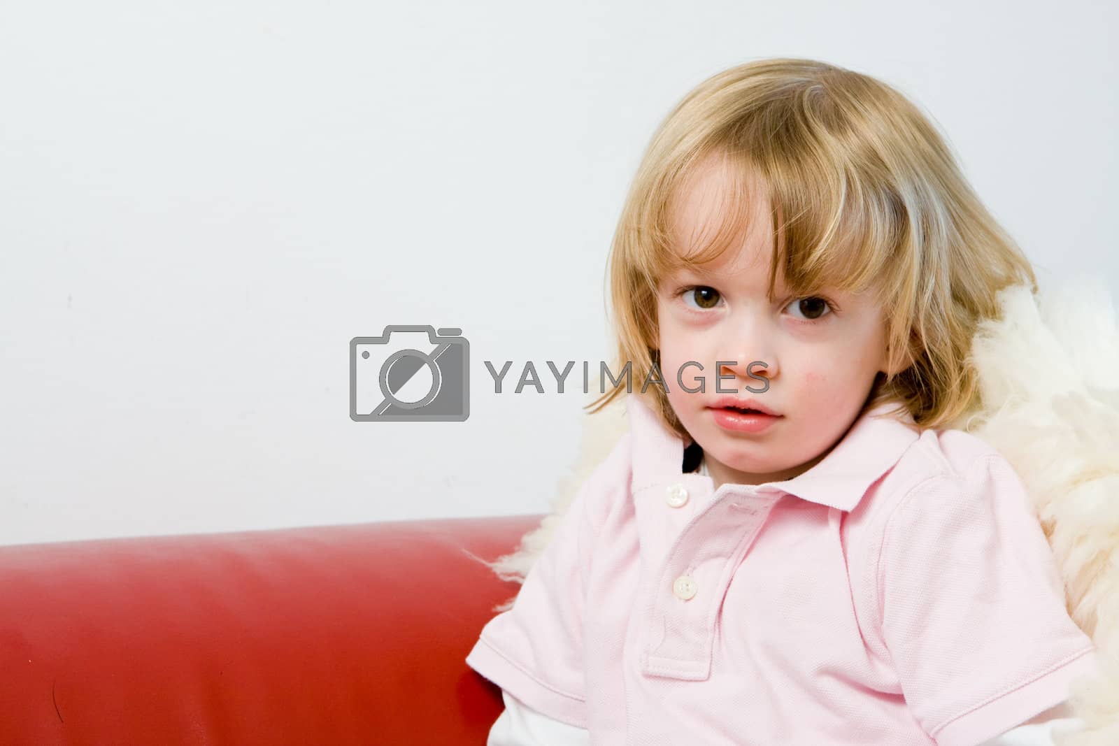 Royalty free image of Young kid sitting down posing and smiling by hfng
