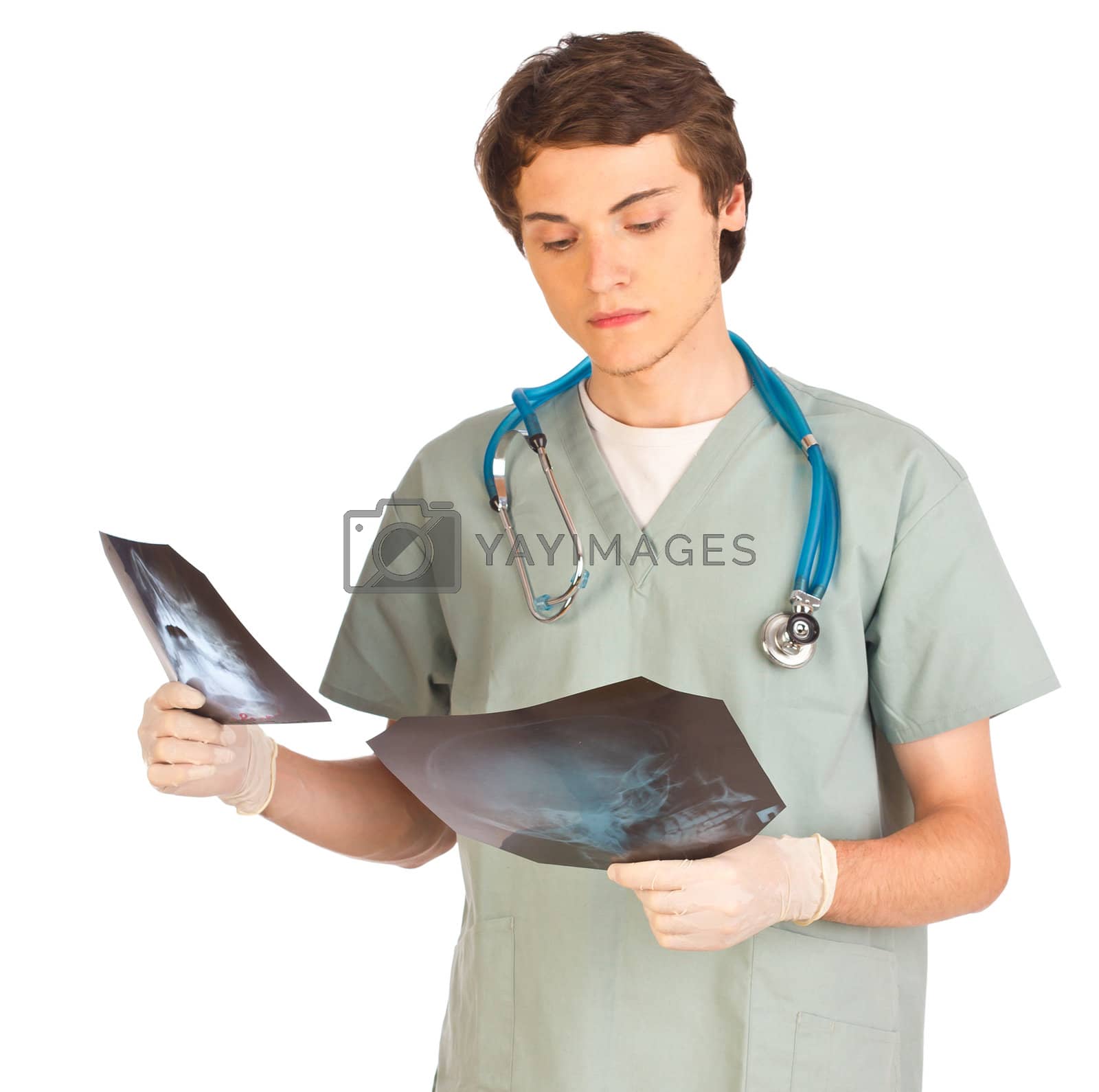 Royalty free image of Young male doctor with x-ray by Rebirth3d