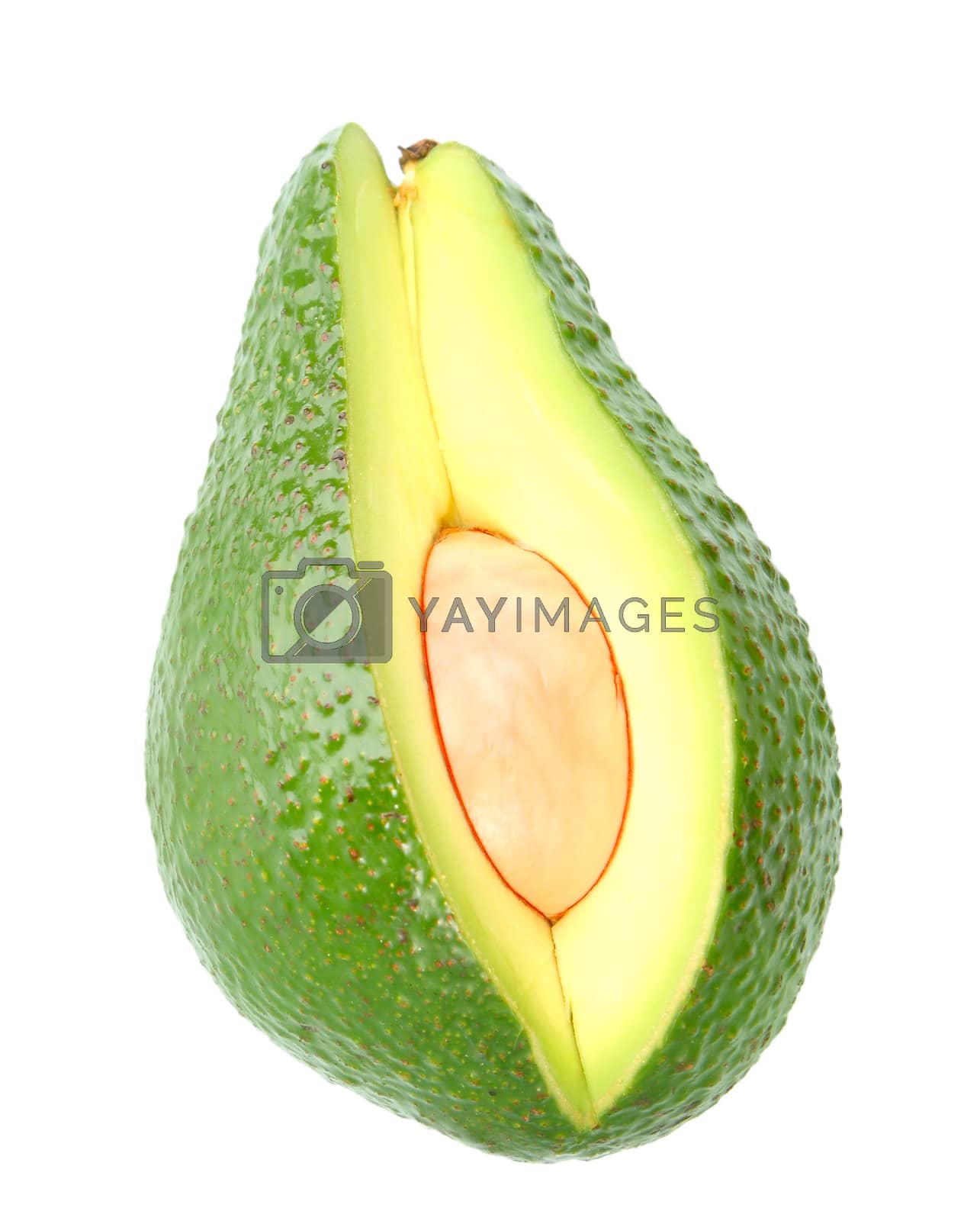 Royalty free image of Single green ripe avocado by boroda