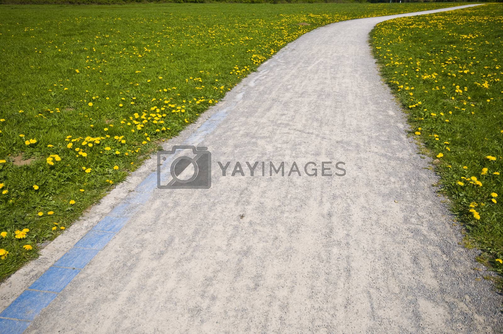 Royalty free image of Sunny Path  by Jule_Berlin