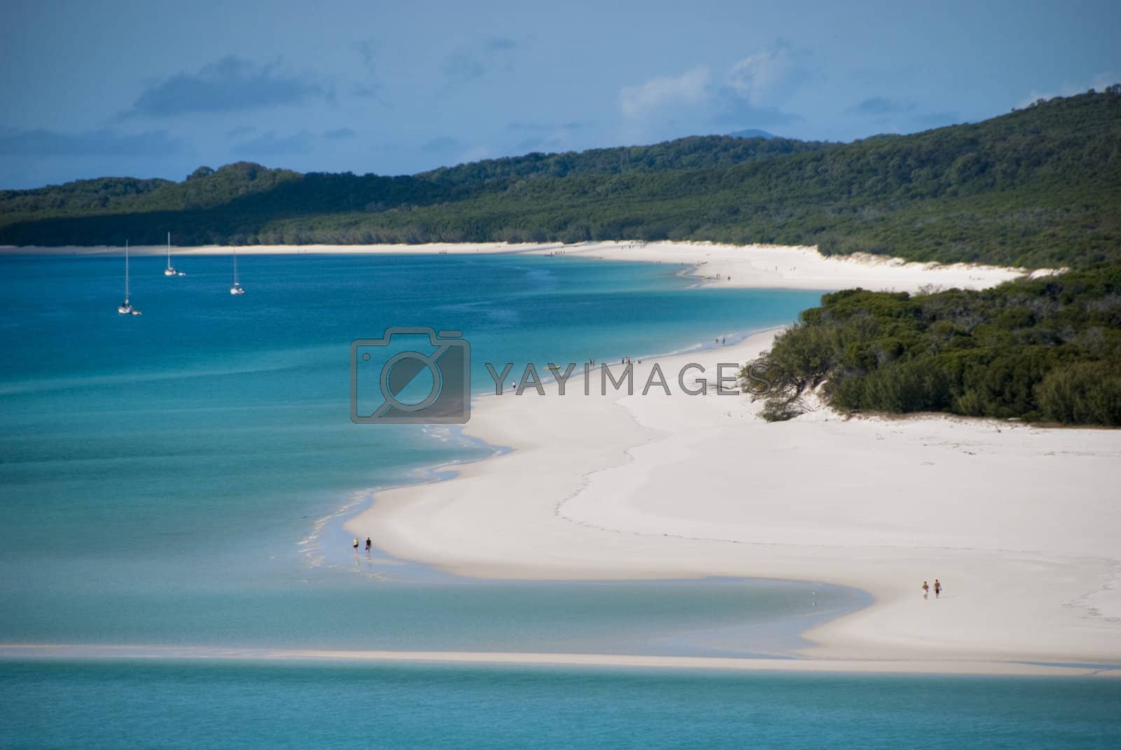 Royalty free image of Whitehaven Beach Bay, Queensland, Australia, August 2009 by jovannig