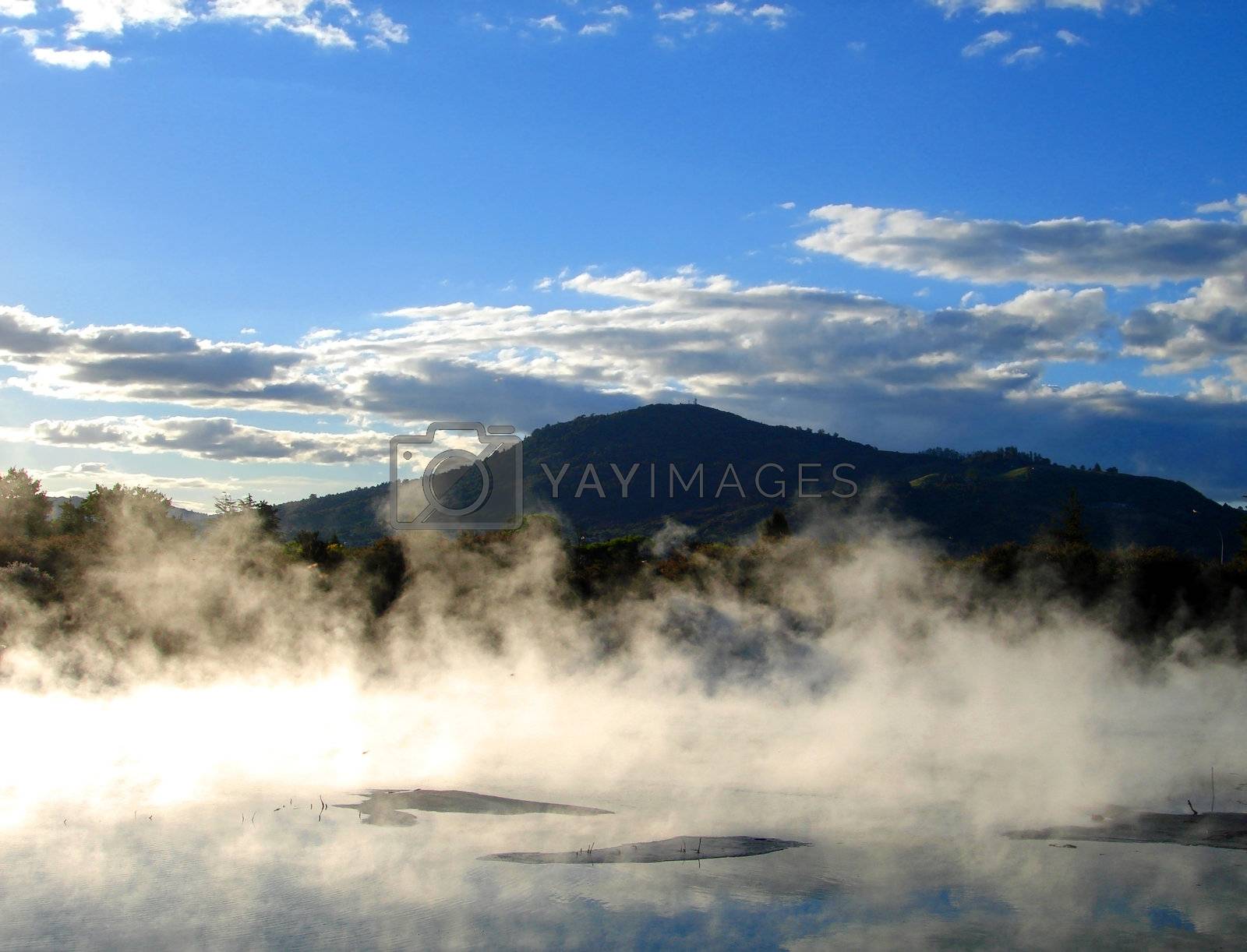 Royalty free image of Geothermal activity in Kuirau Park, Rotorua, New Zealand by Cloudia