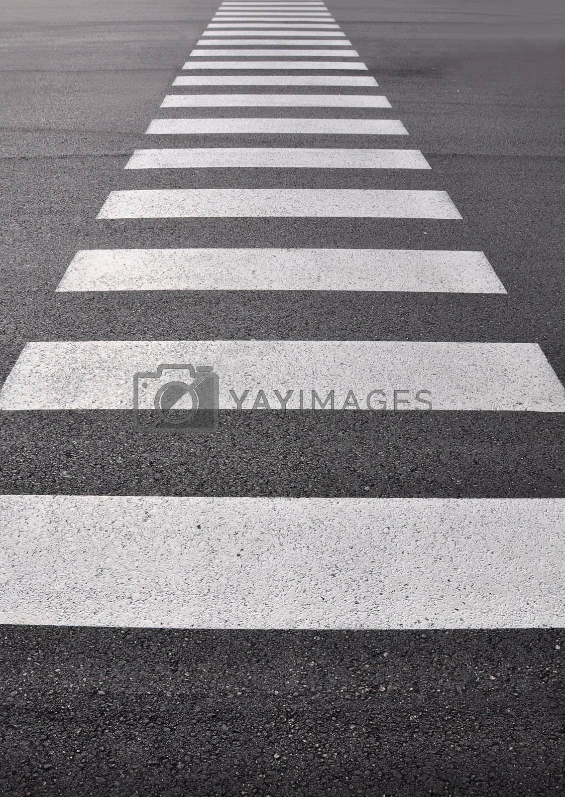Royalty free image of Crosswalk by rbiedermann