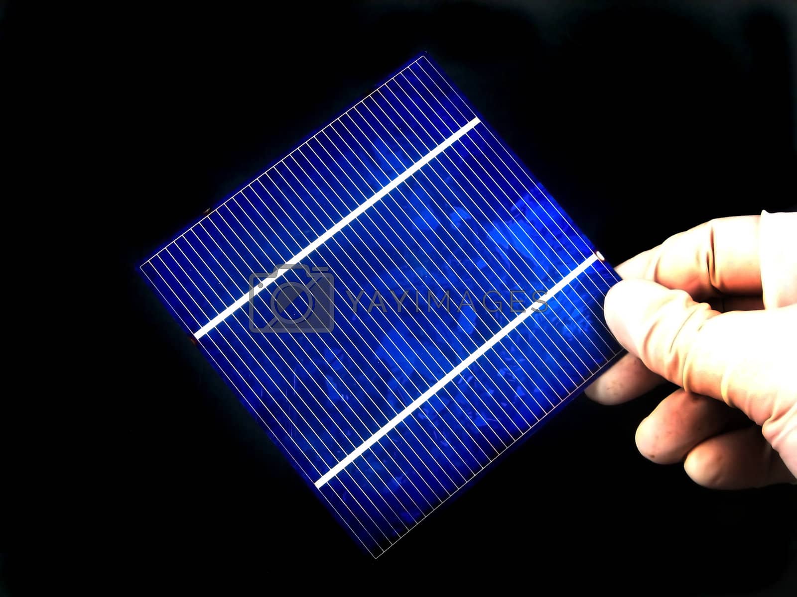 Royalty free image of Solar cell research by albln