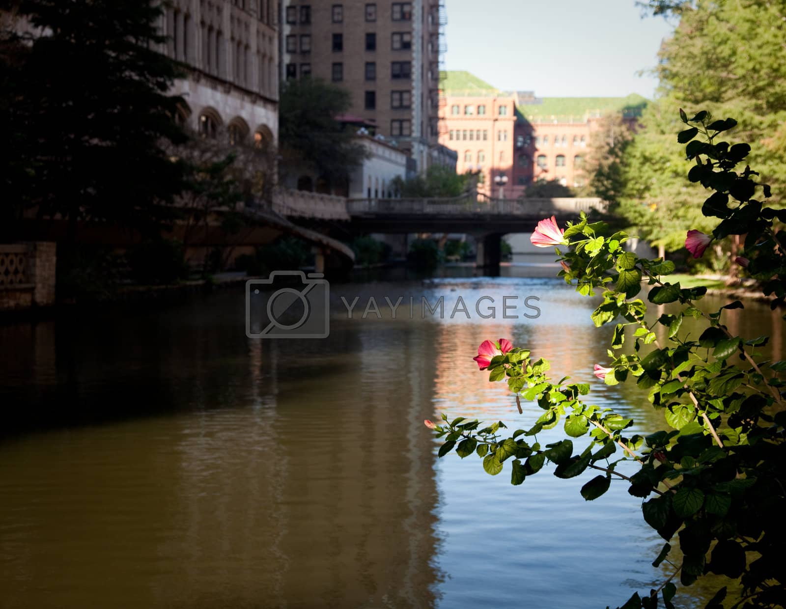 Royalty free image of River in San Antonio with old buildings by steheap