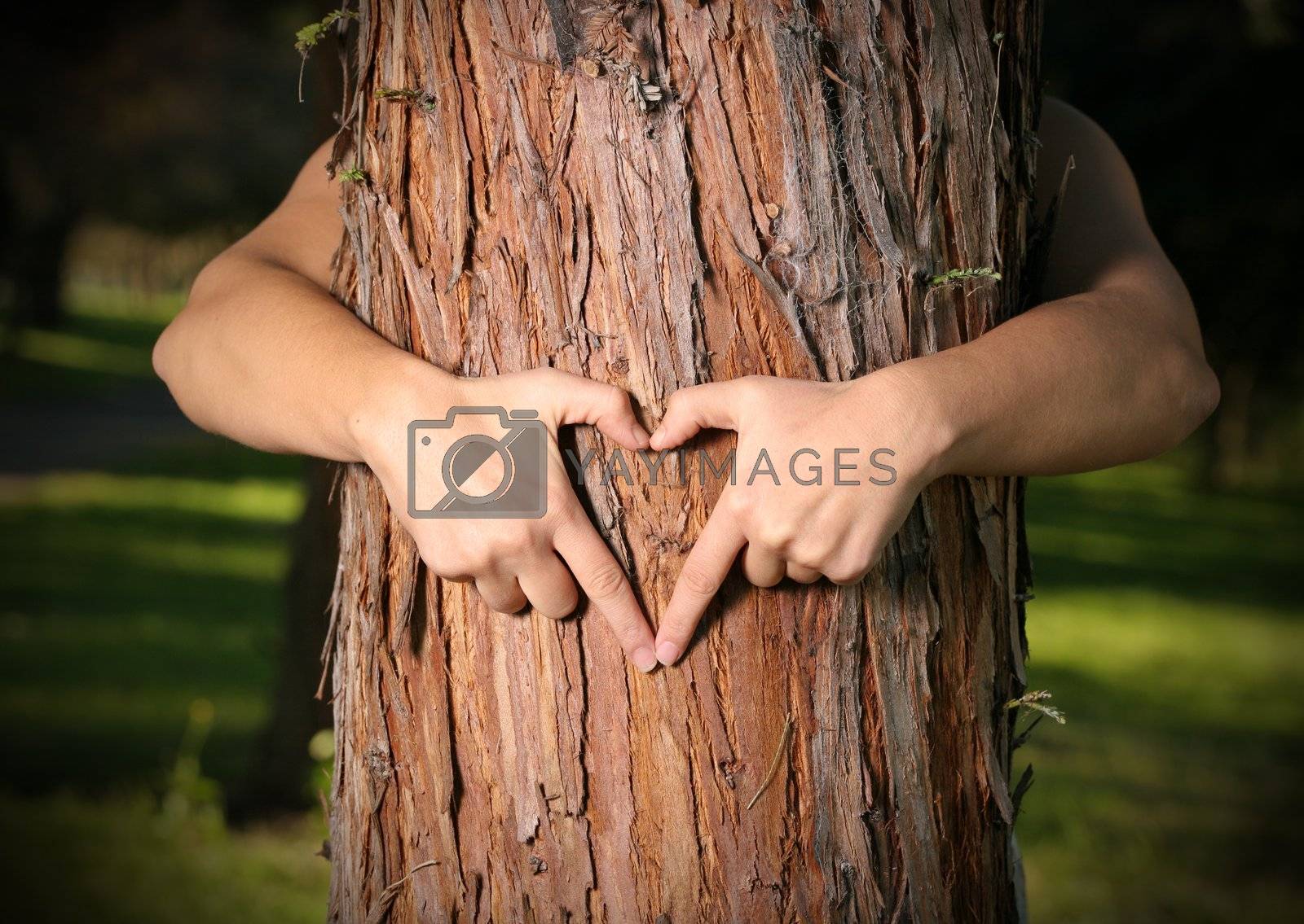 Royalty free image of Tree Lover by lovleah