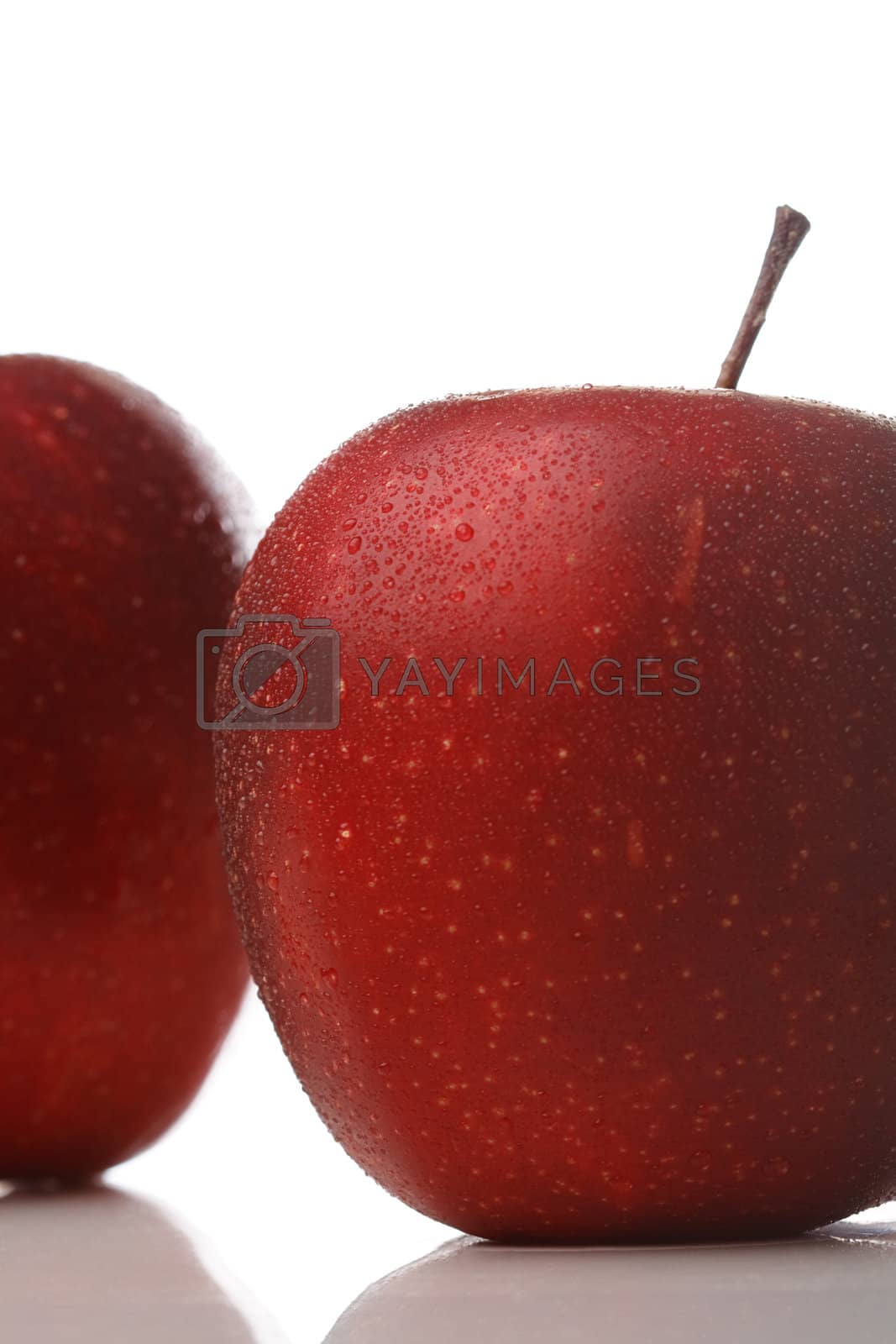 Royalty free image of Waterdrops on an apple by azschach